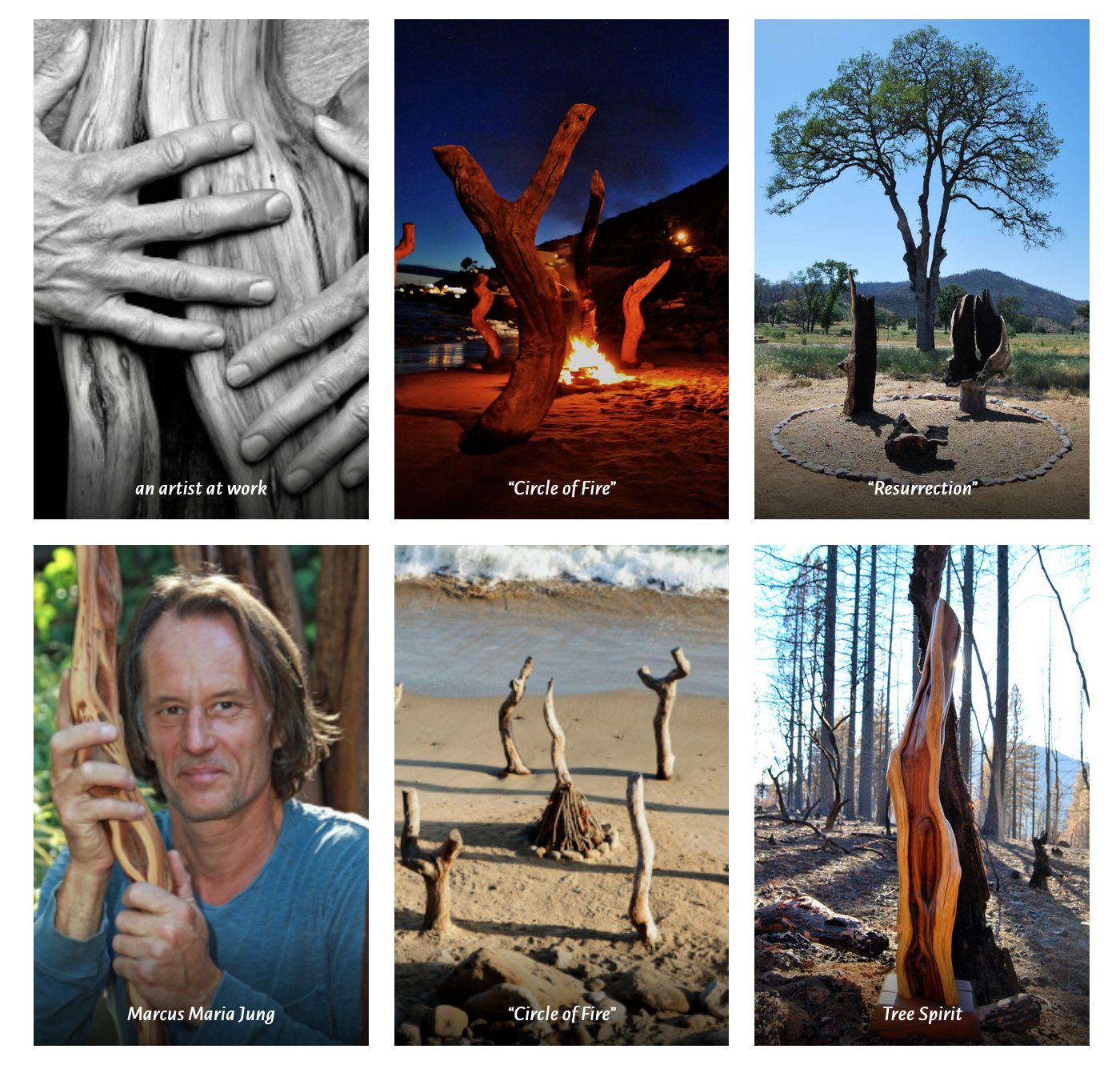 Listening to the Voice of Nature - 