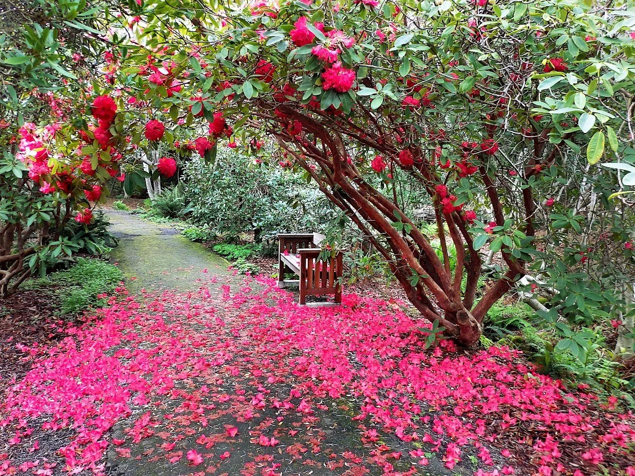 ART IN THE GARDENS