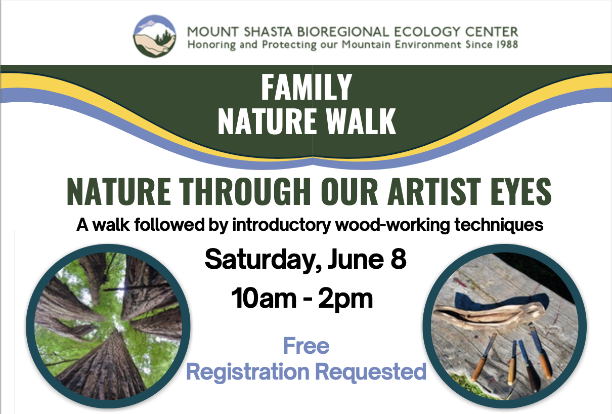  NATURE WALK and Natural Wood Sculpture ART CLASS