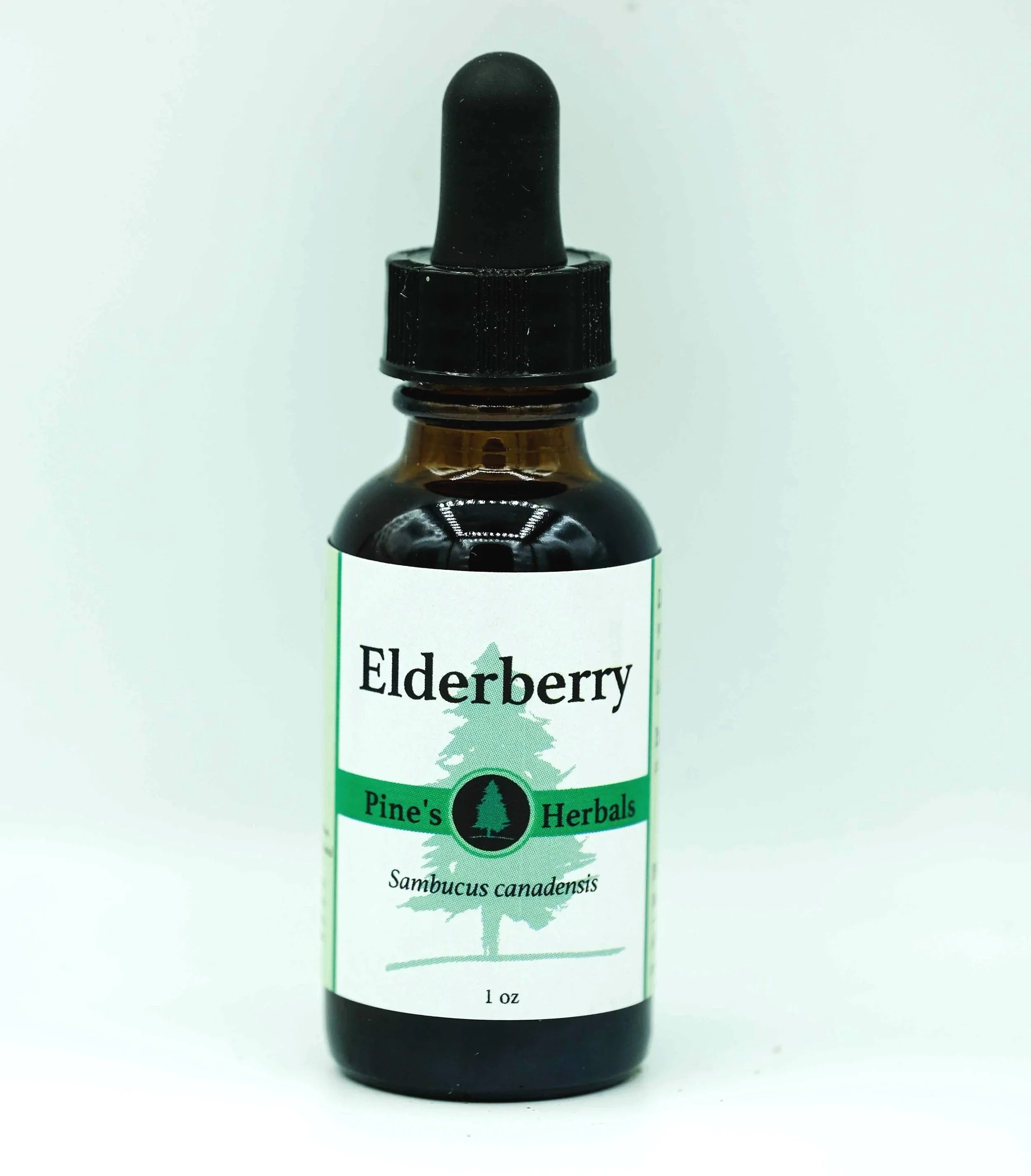 Elderberry