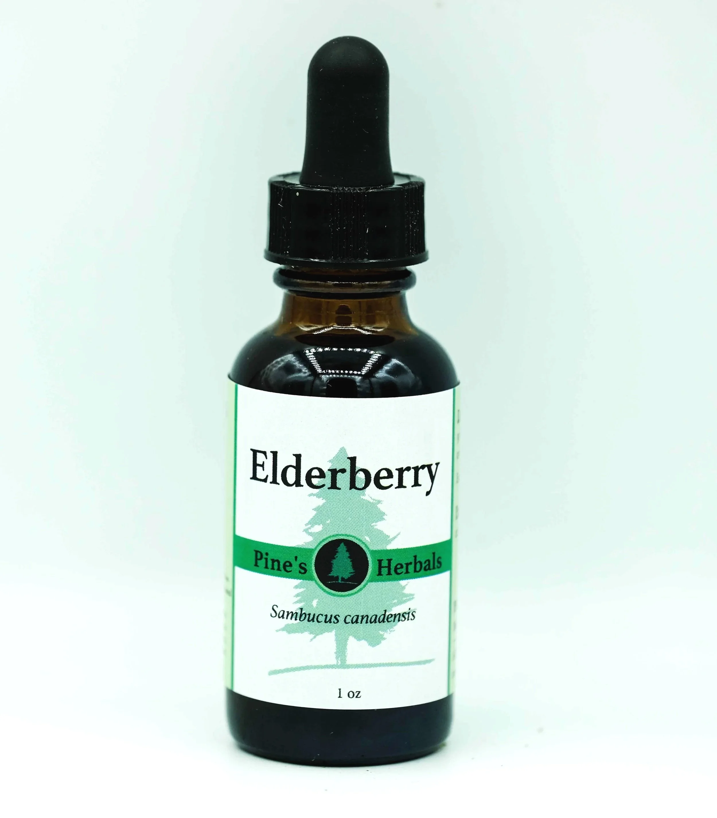 Elderberry.jpg