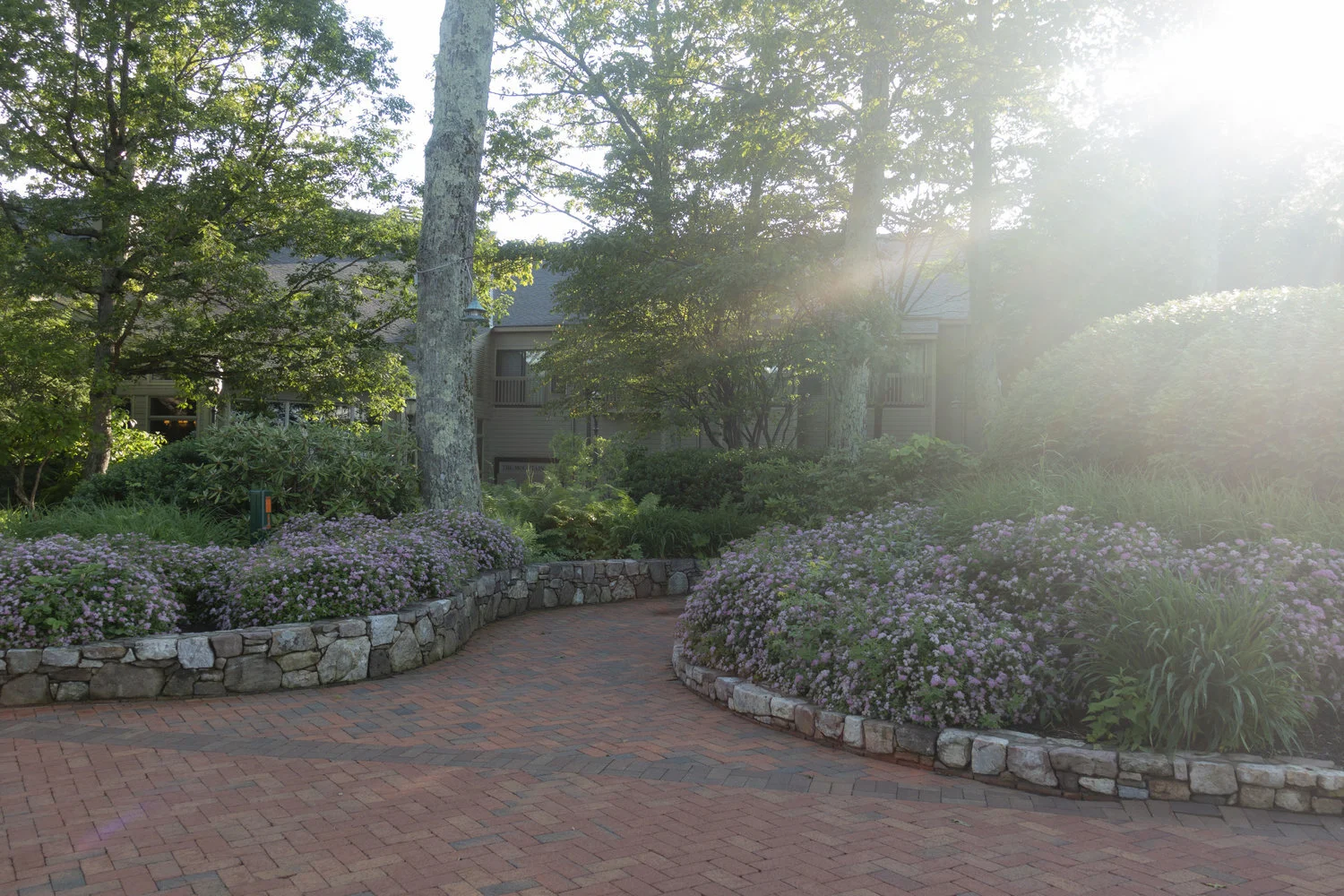 Wintergreen_9.jpg