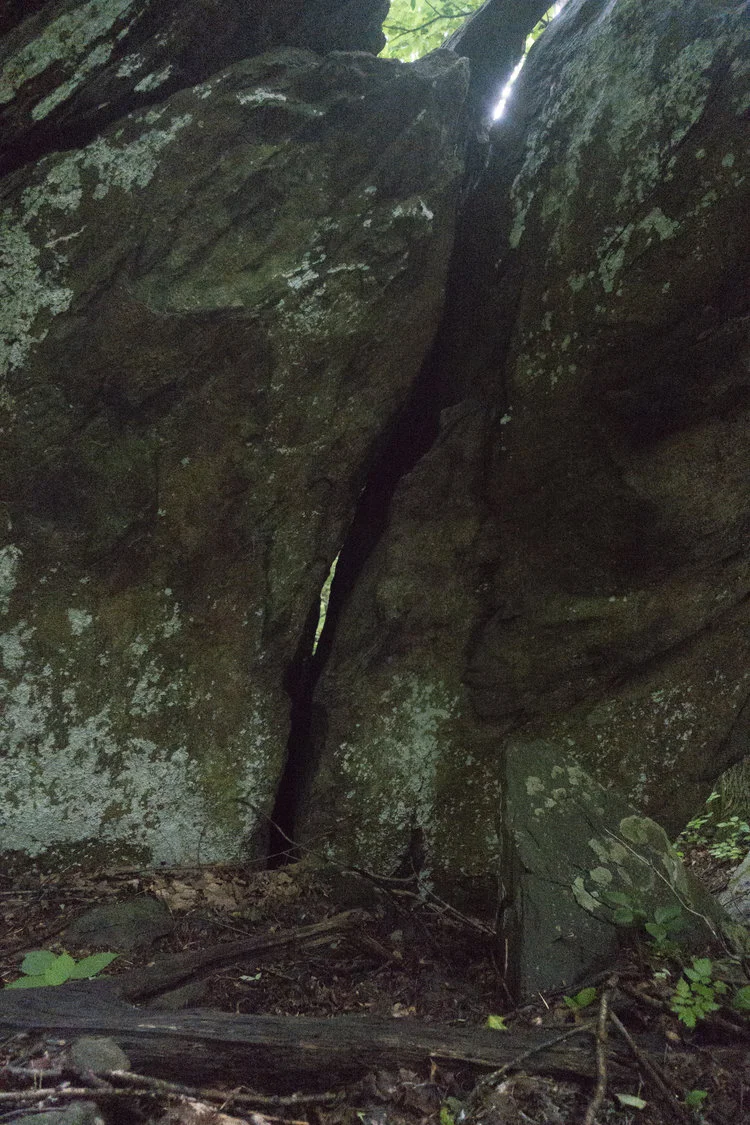 Wintergreen_15.jpg