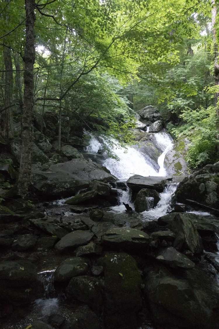 Wintergreen_20.jpg