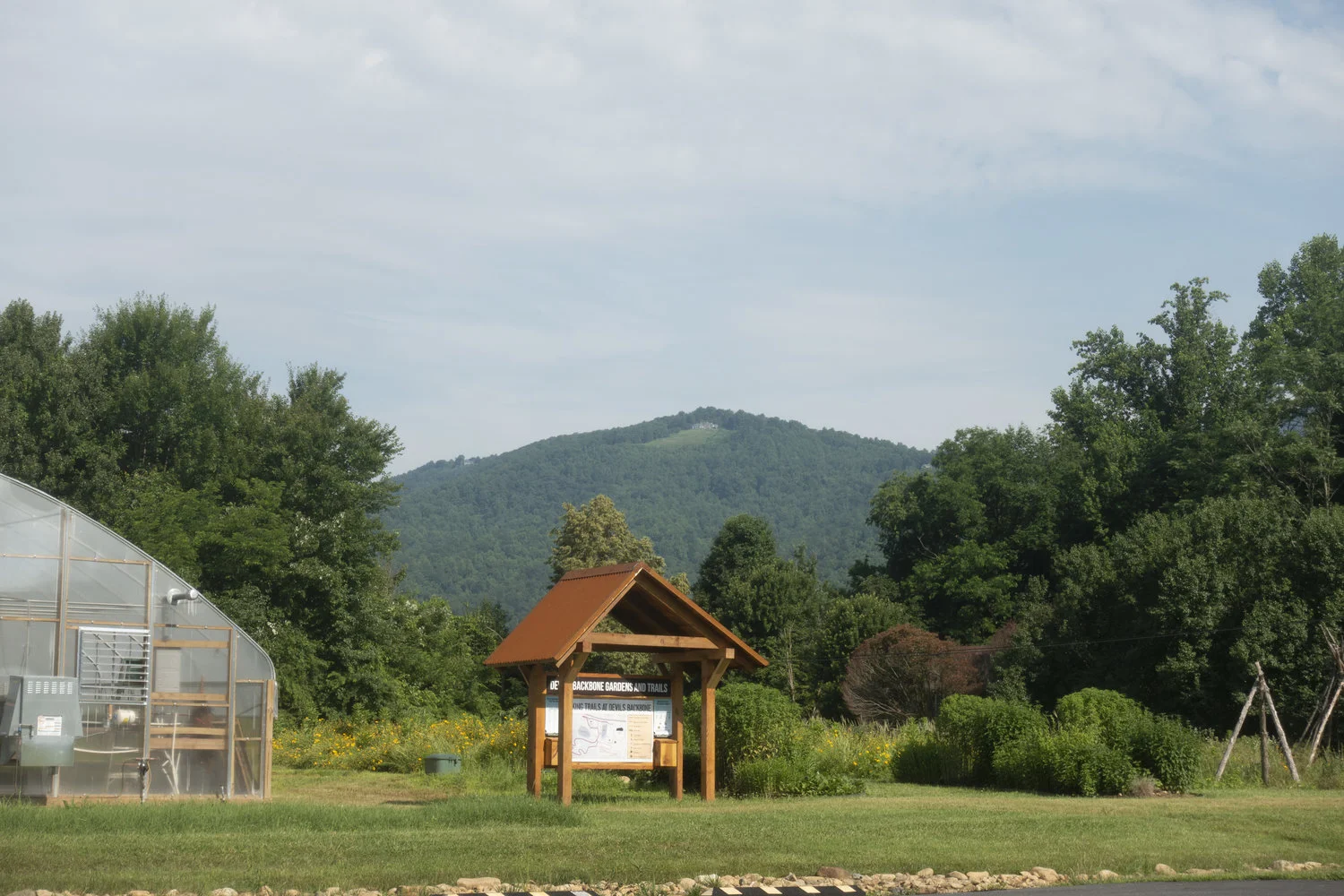 Wintergreen_27.jpg