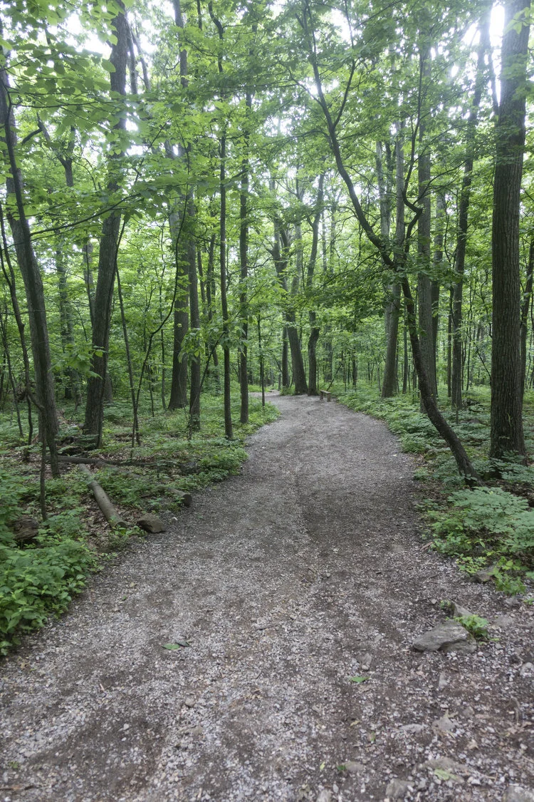 Wintergreen_30.jpg
