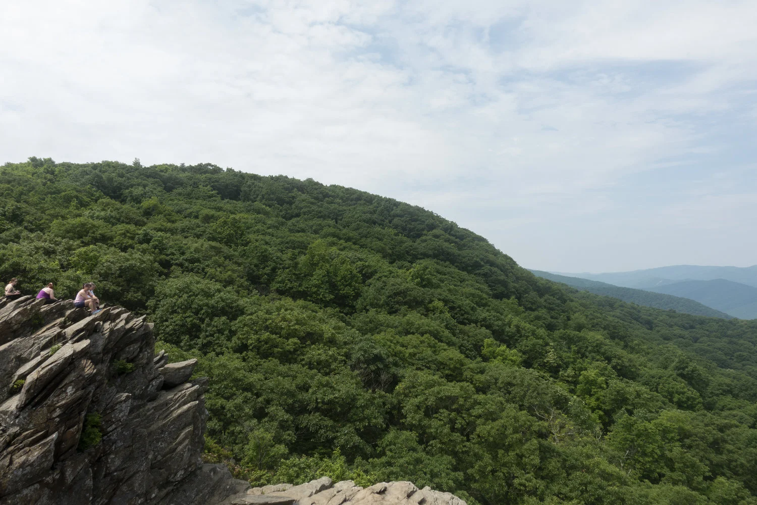 Wintergreen_39.jpg