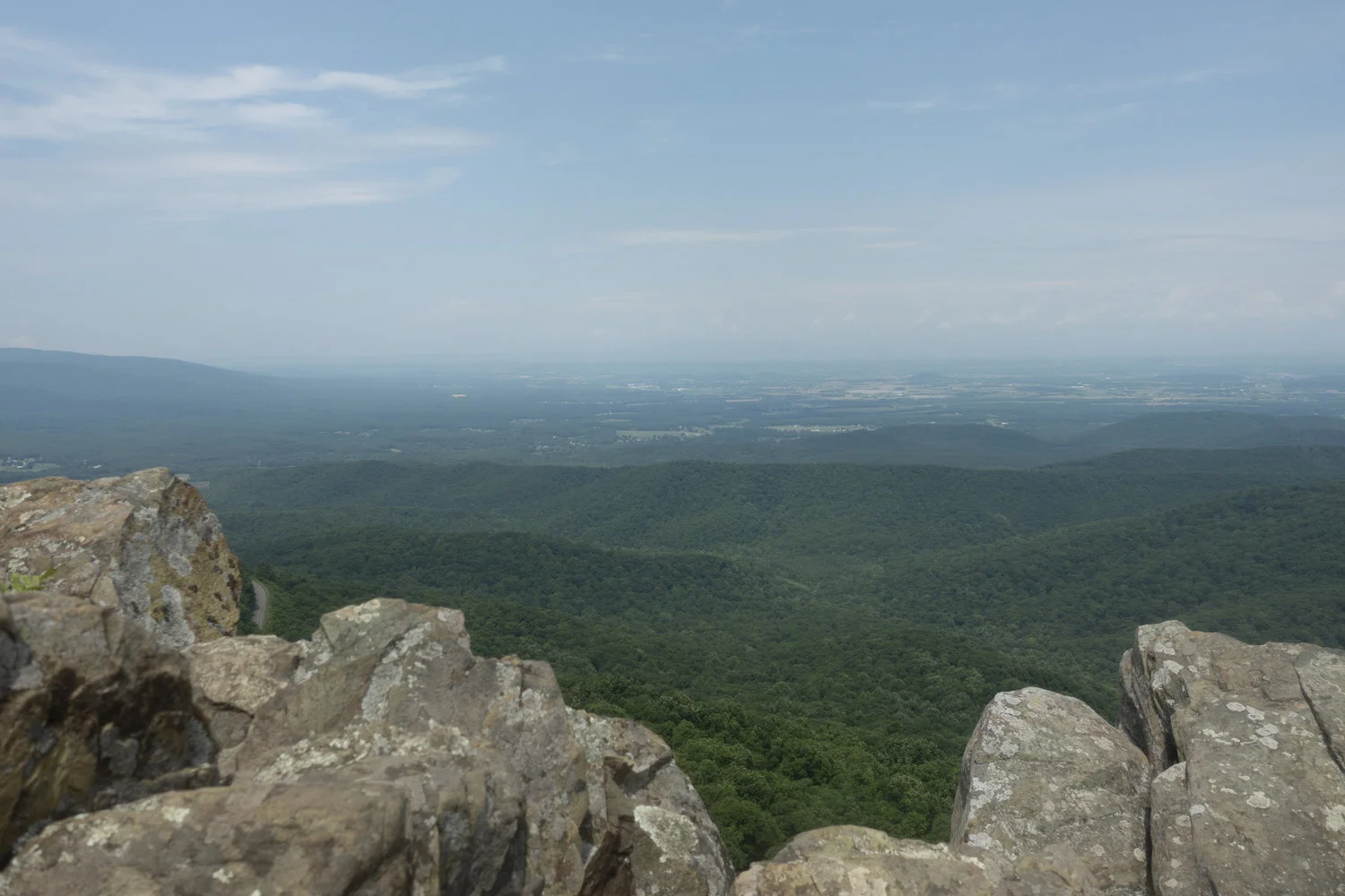 Wintergreen_41.jpg