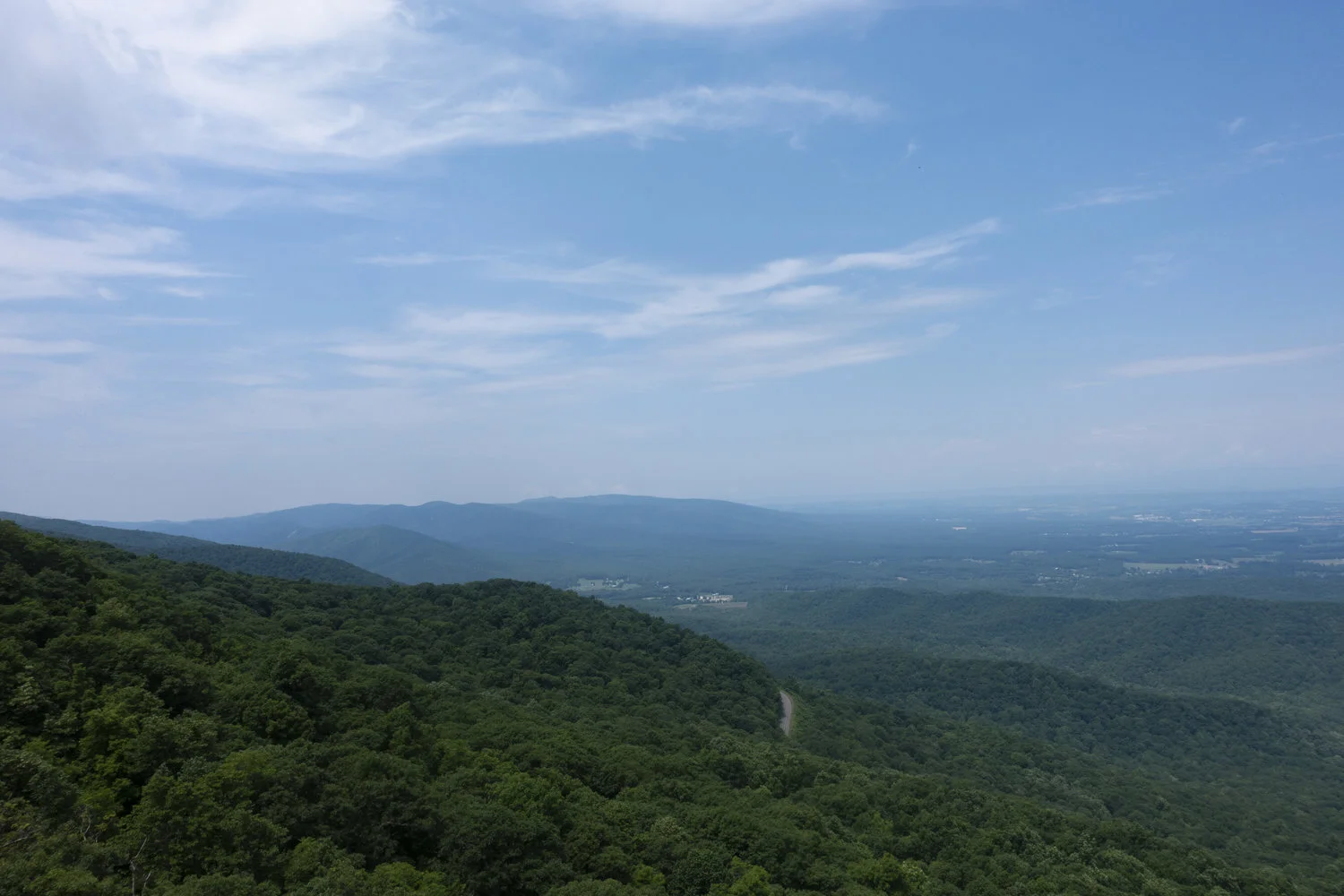 Wintergreen_42.jpg