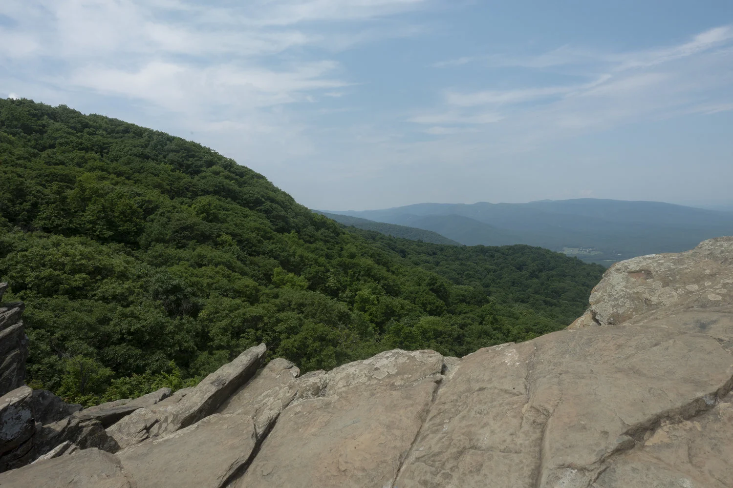 Wintergreen_45.jpg