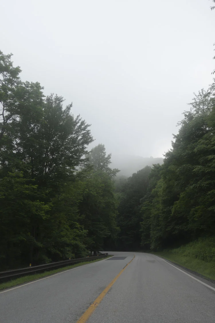 Wintergreen_46.jpg