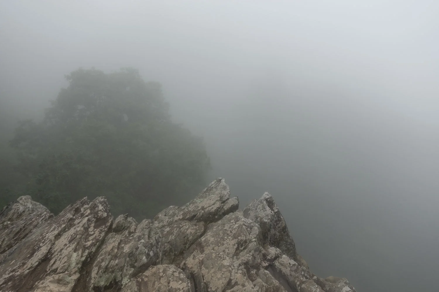 Wintergreen_51.jpg