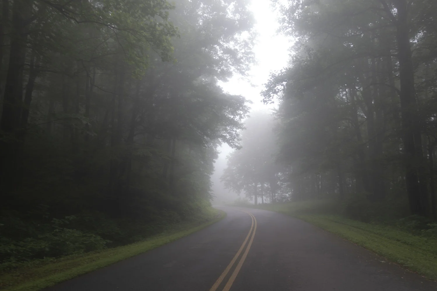 Wintergreen_52.jpg
