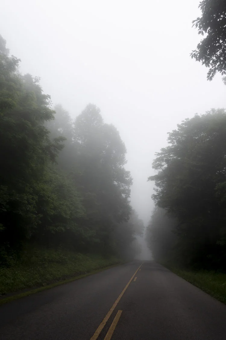 Wintergreen_54.jpg