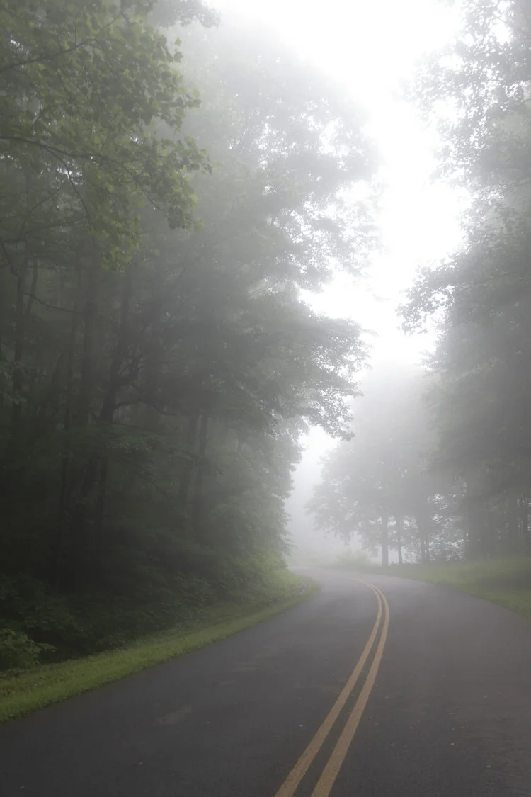 Wintergreen_53.jpg