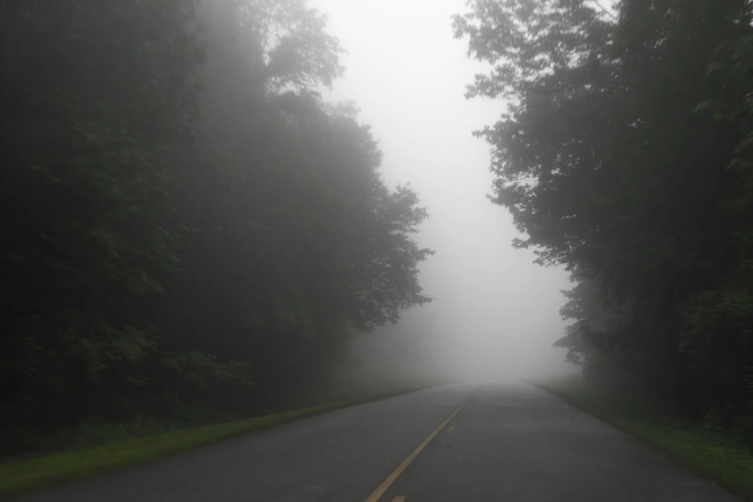 Wintergreen_55.jpg