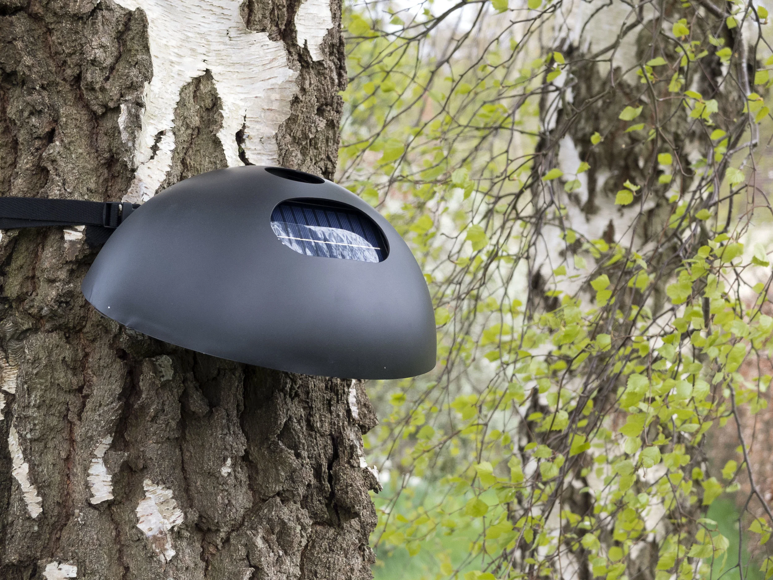 Pyromesh: sensor node, mountable on a tree