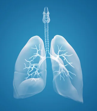 how-to-breathe.jpg