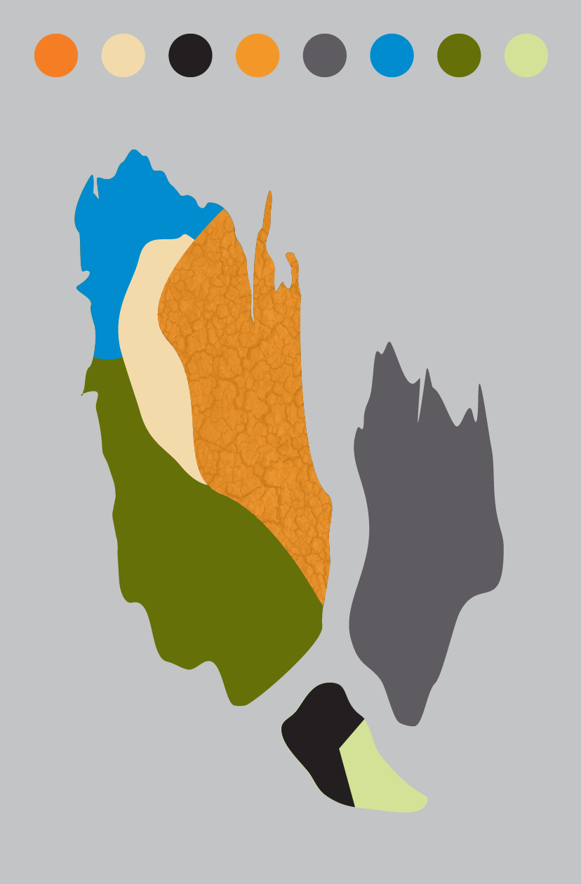 artboard-1-copy-4.webp