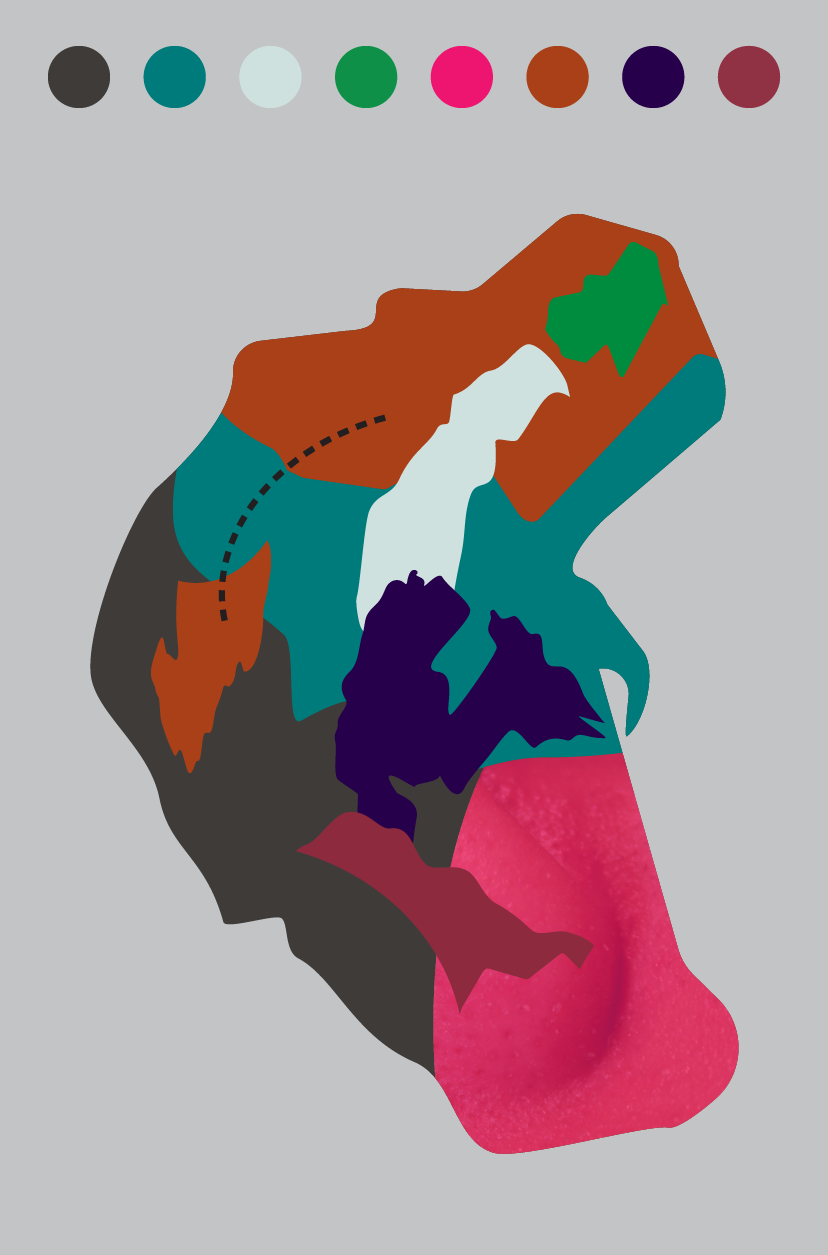 artboard-12.webp