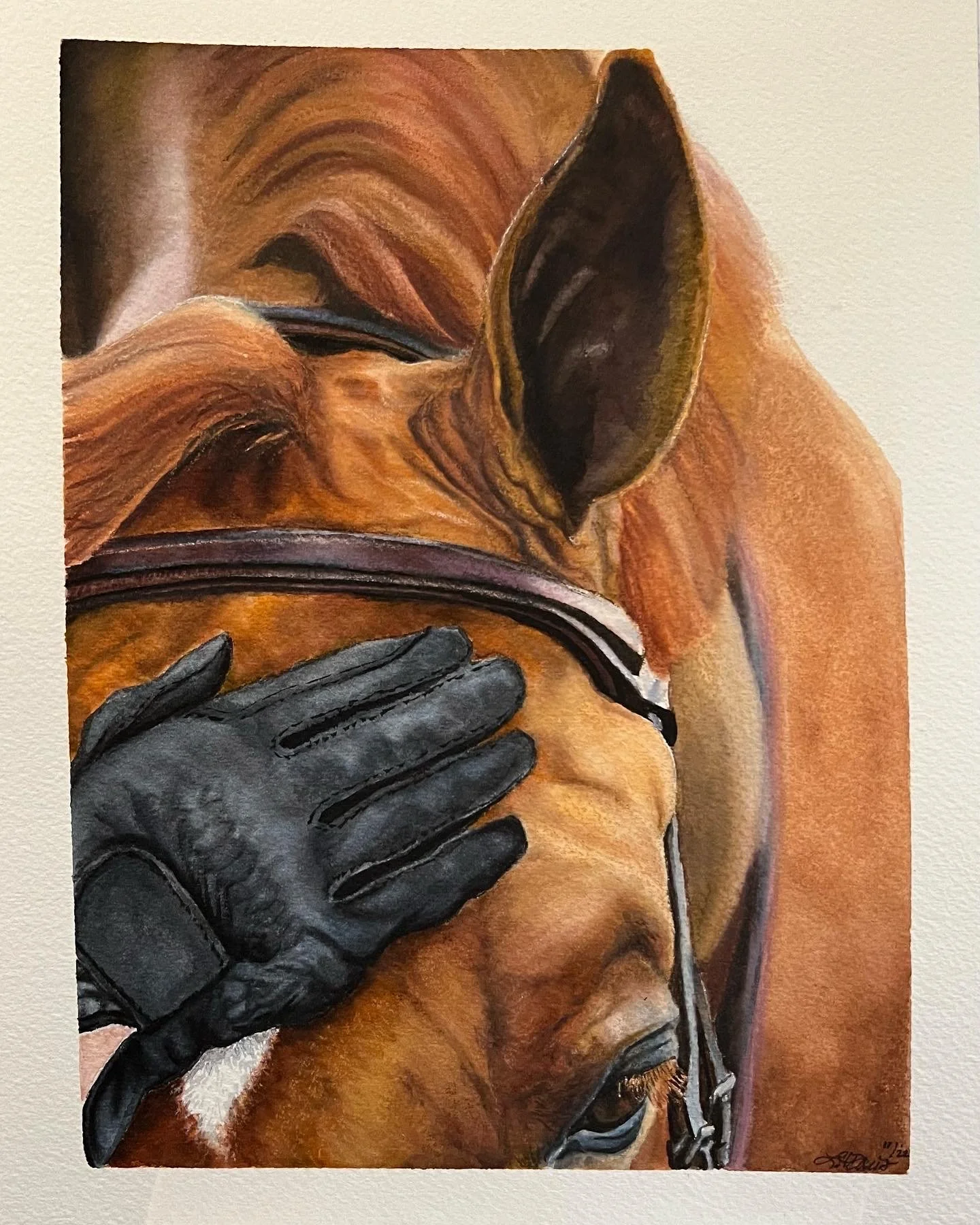 "Face Pets"  8' x 10" Original Watercolor