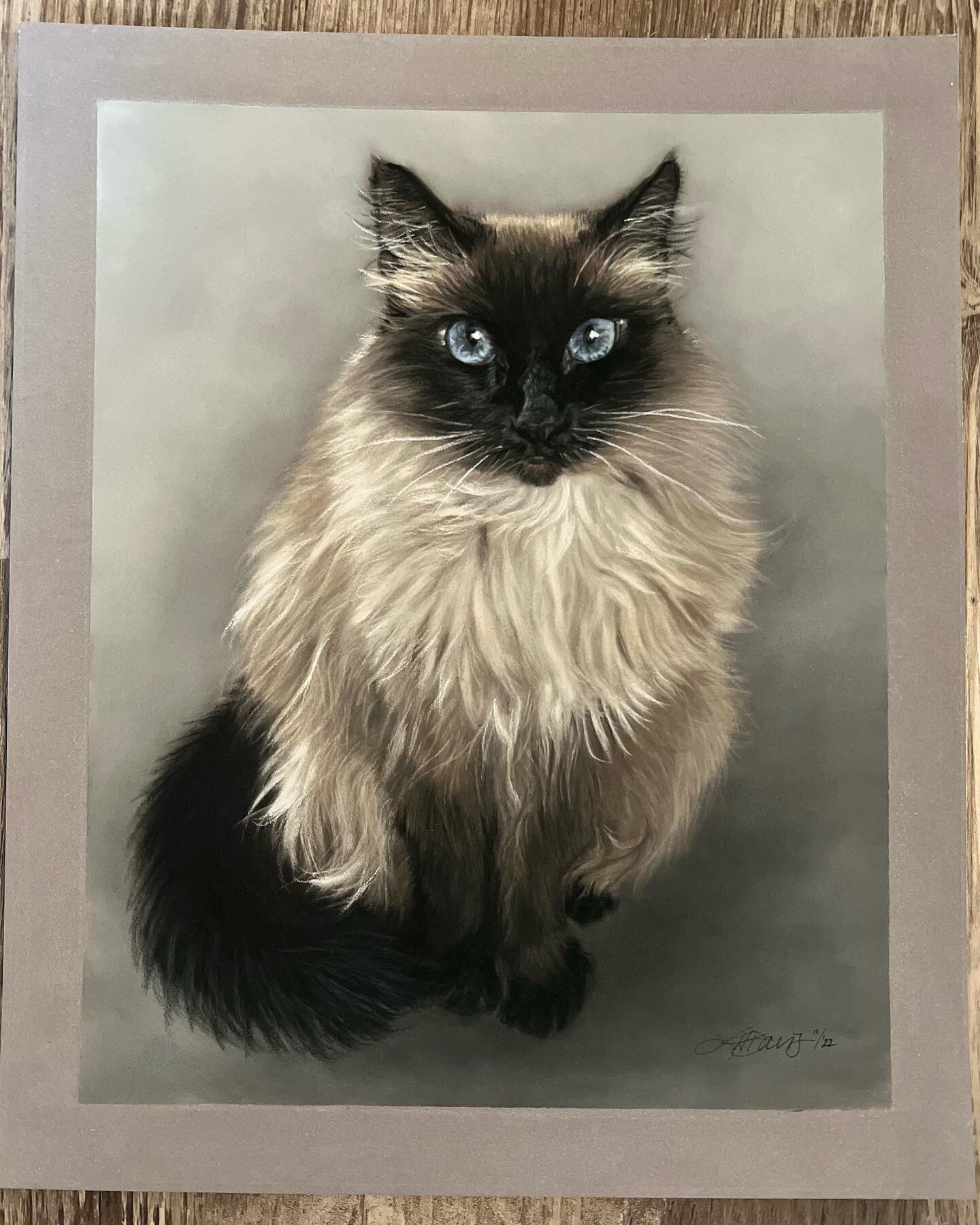 Finally crawling out of my holiday hole &hellip; Who had been waiting to do a kitty? (Me 🙋&zwj;♀️!!!) I was commissioned to do this smokey feline as a Christmas gift 🎁 

8&rdquo; x 10&rdquo; Pastel
📄 PastelMat
🎨 PanPastels, Pitt Pencils, Carb Oth