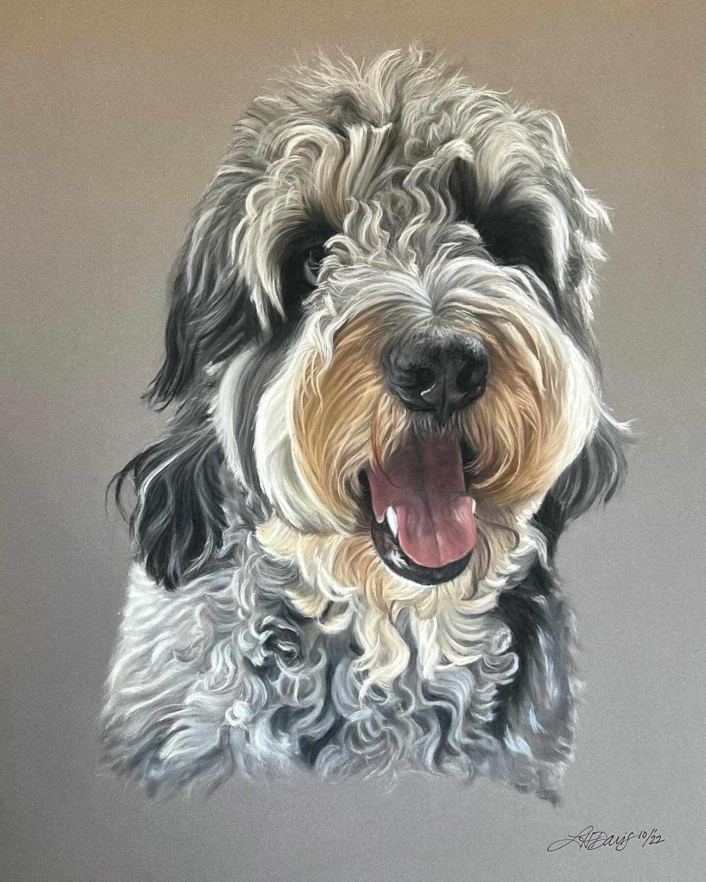 Tito! Another Christmas commission I did over the past months 🥰. What a happy doodle of a chap! 

11&rdquo; x 14&rdquo; Pastel on PastelMat

#pastel #pastelart #pastelartist #petpastelportrait #petportrait #petportraitartist #petcommission #bernedoo