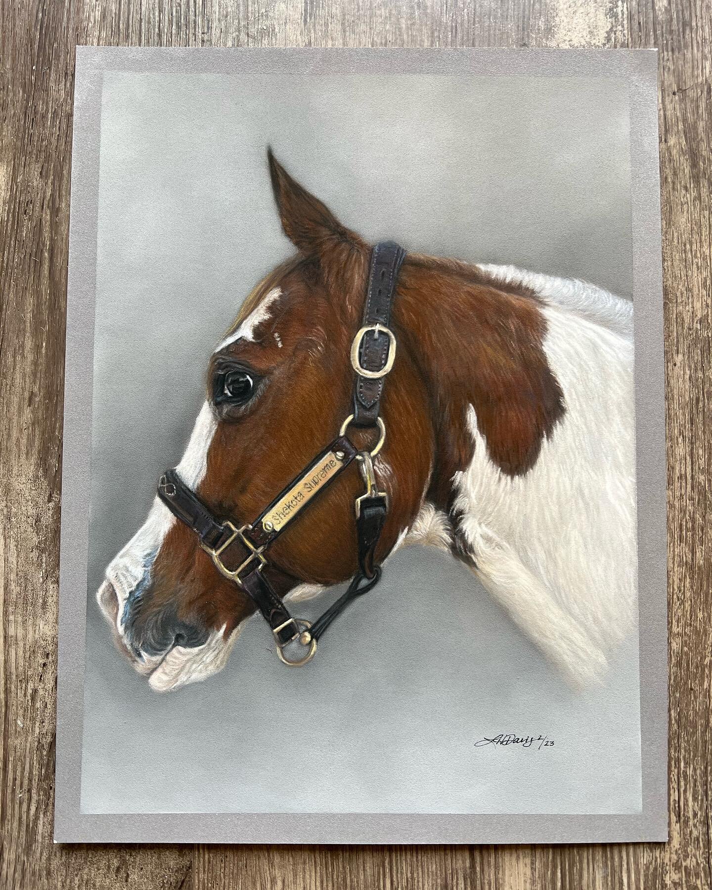 Here is the portrait I recently completed from a lil giveaway I did a few months ago 🤗 May I present the lovely Shekota 🐴! @hiddenwhiteacres 

9&rdquo; x 12&rdquo; pastel on pastelmat
#equineart #equineartist
#equineportrait #equinecommission #anim