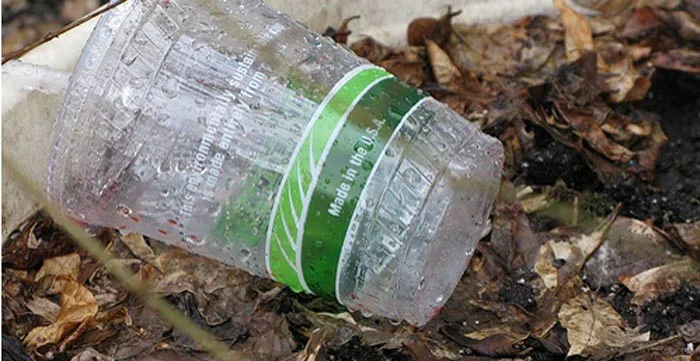 compostable-cup.jpg