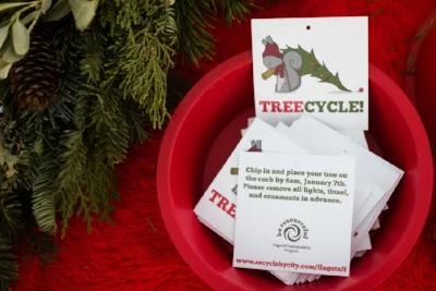 TreeCycling-5.jpg