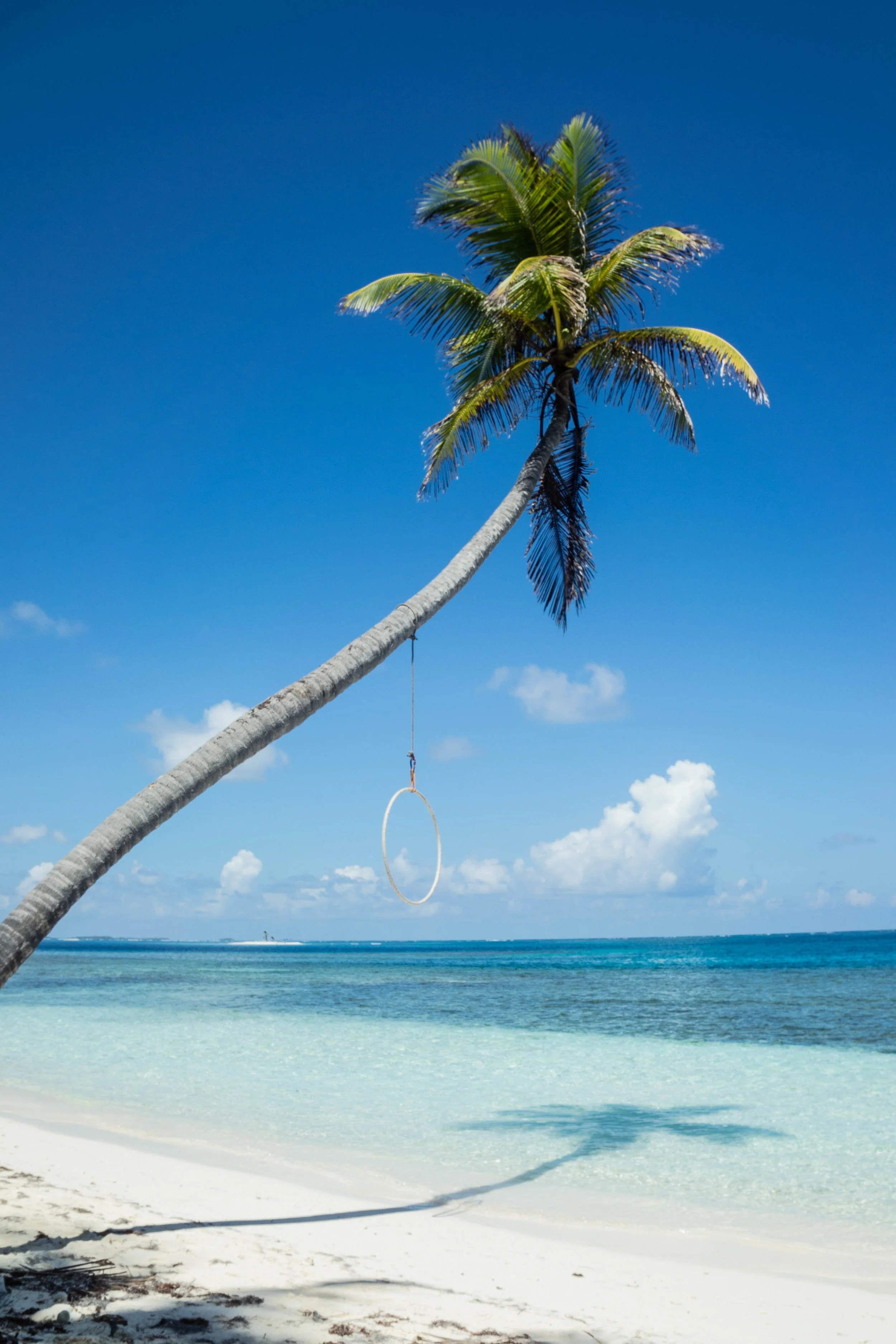 PAGINA FINAL PERSONAL baja -5-2.jpg