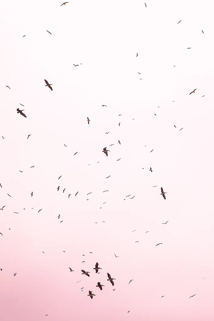 PAGINA FINAL PERSONAL baja -3-3.jpg