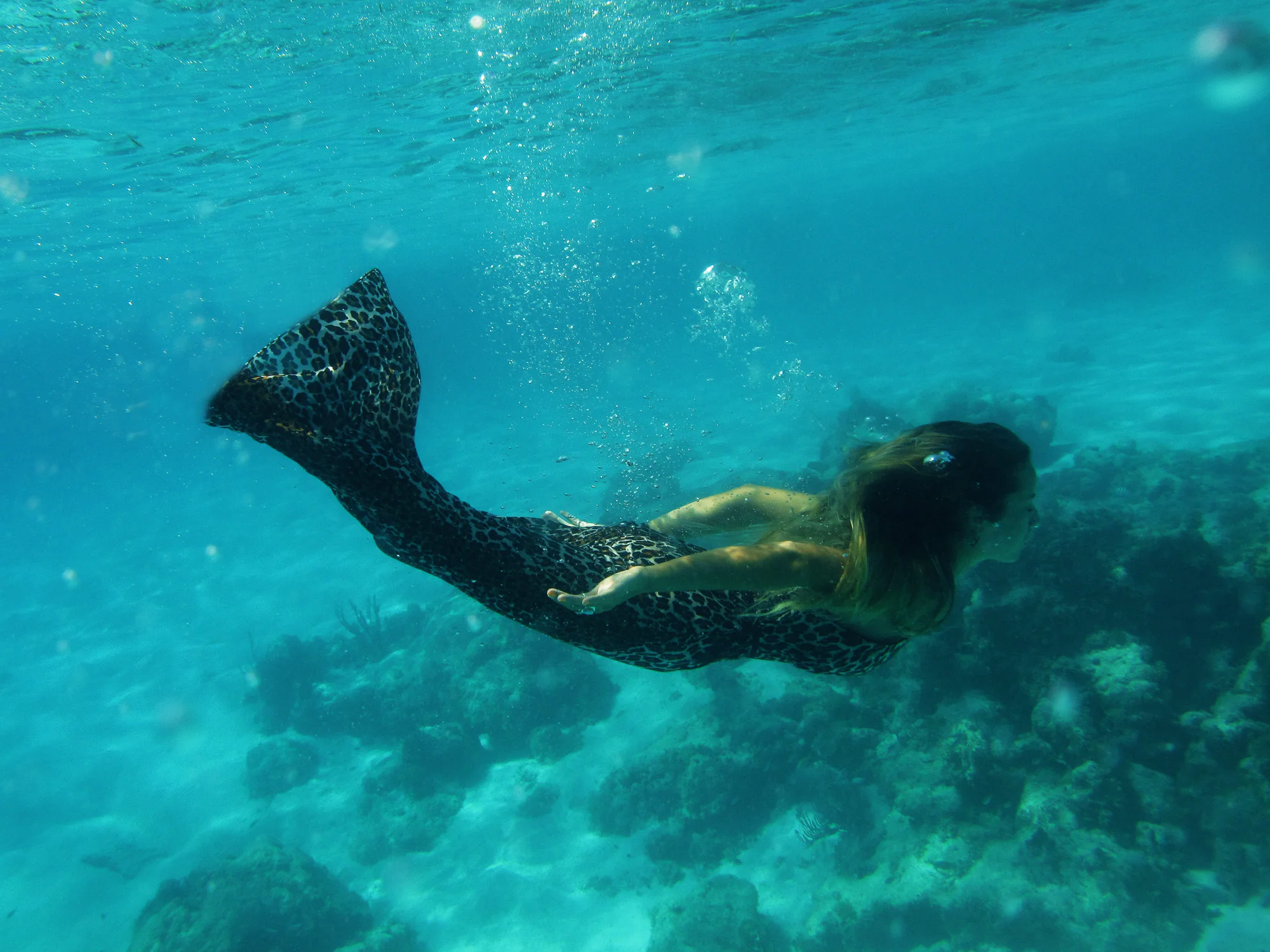 PAGINA FINAL PERSONAL baja -14.jpg