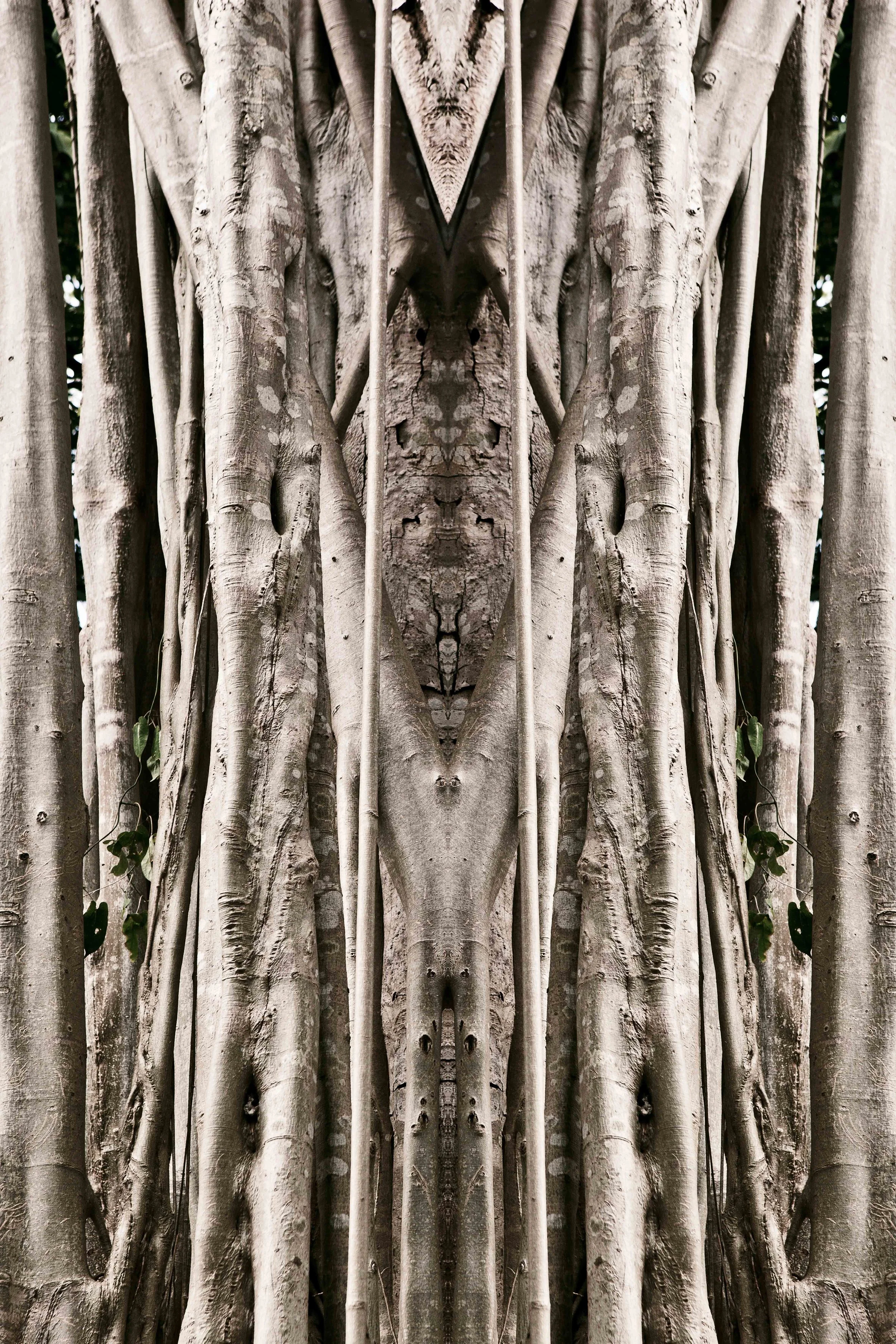 PAGINA FINAL PERSONAL baja -40.jpg