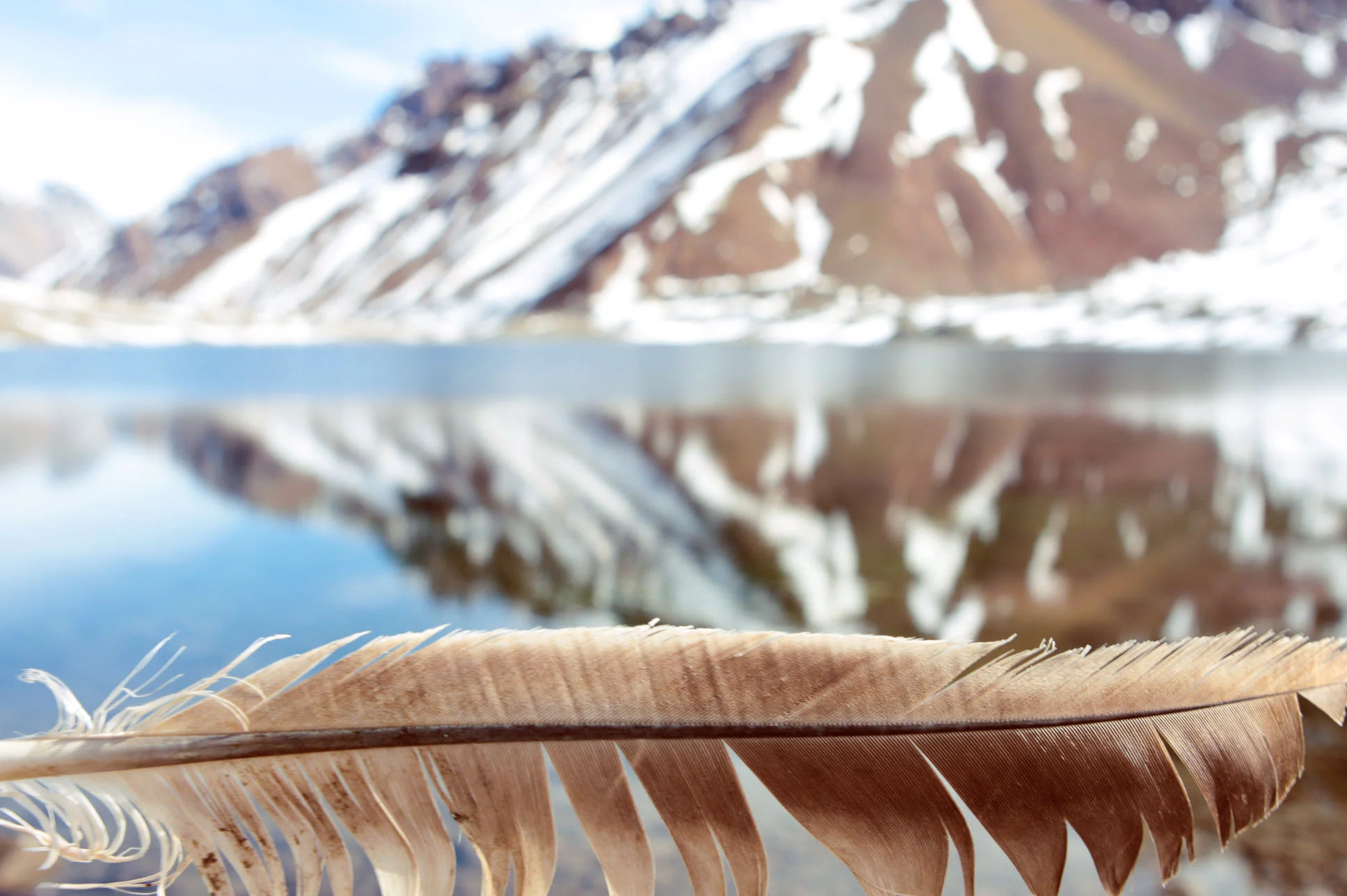 PAGINA FINAL PERSONAL baja -0224.jpg