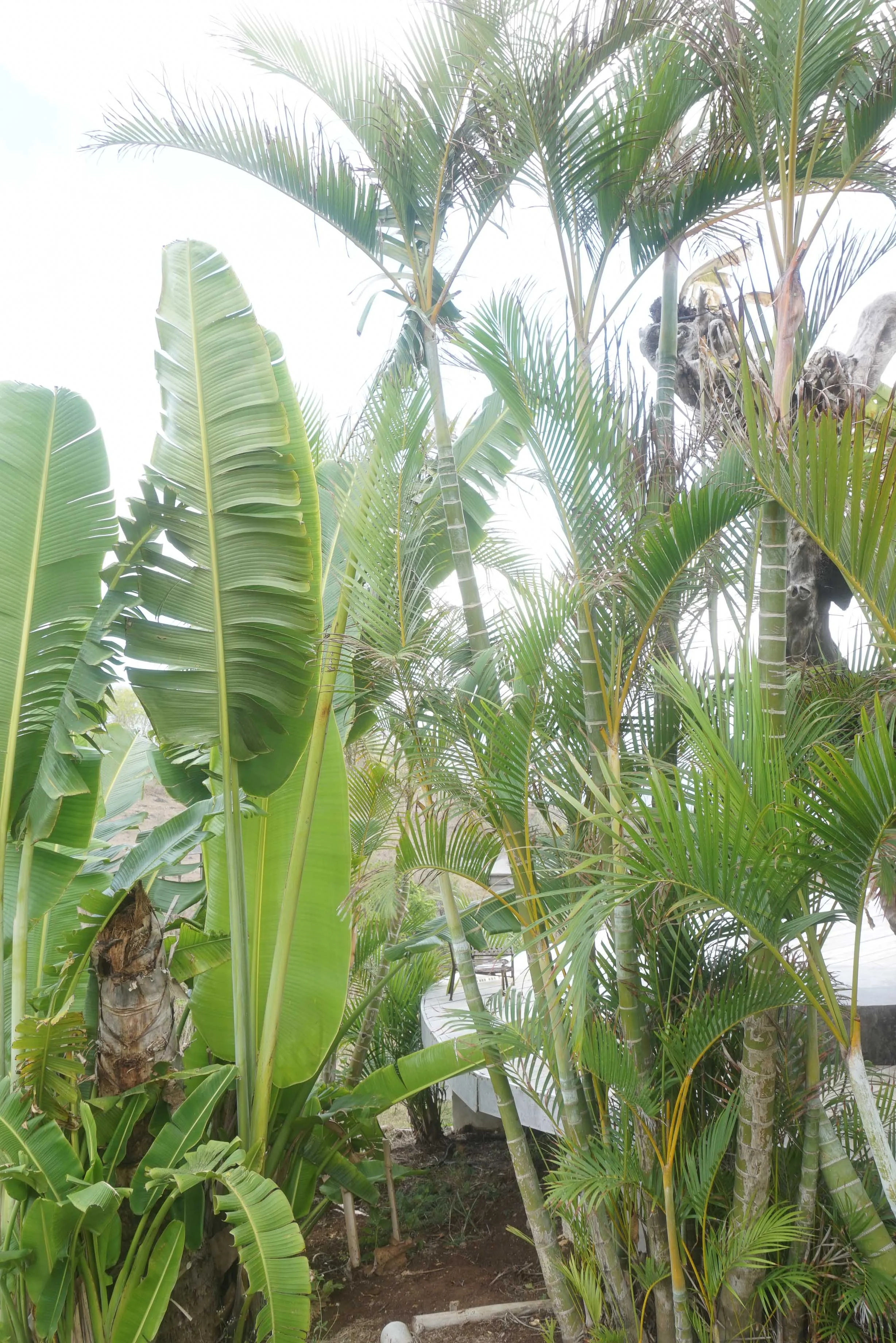 PAGINA FINAL PERSONAL baja -02629.jpg