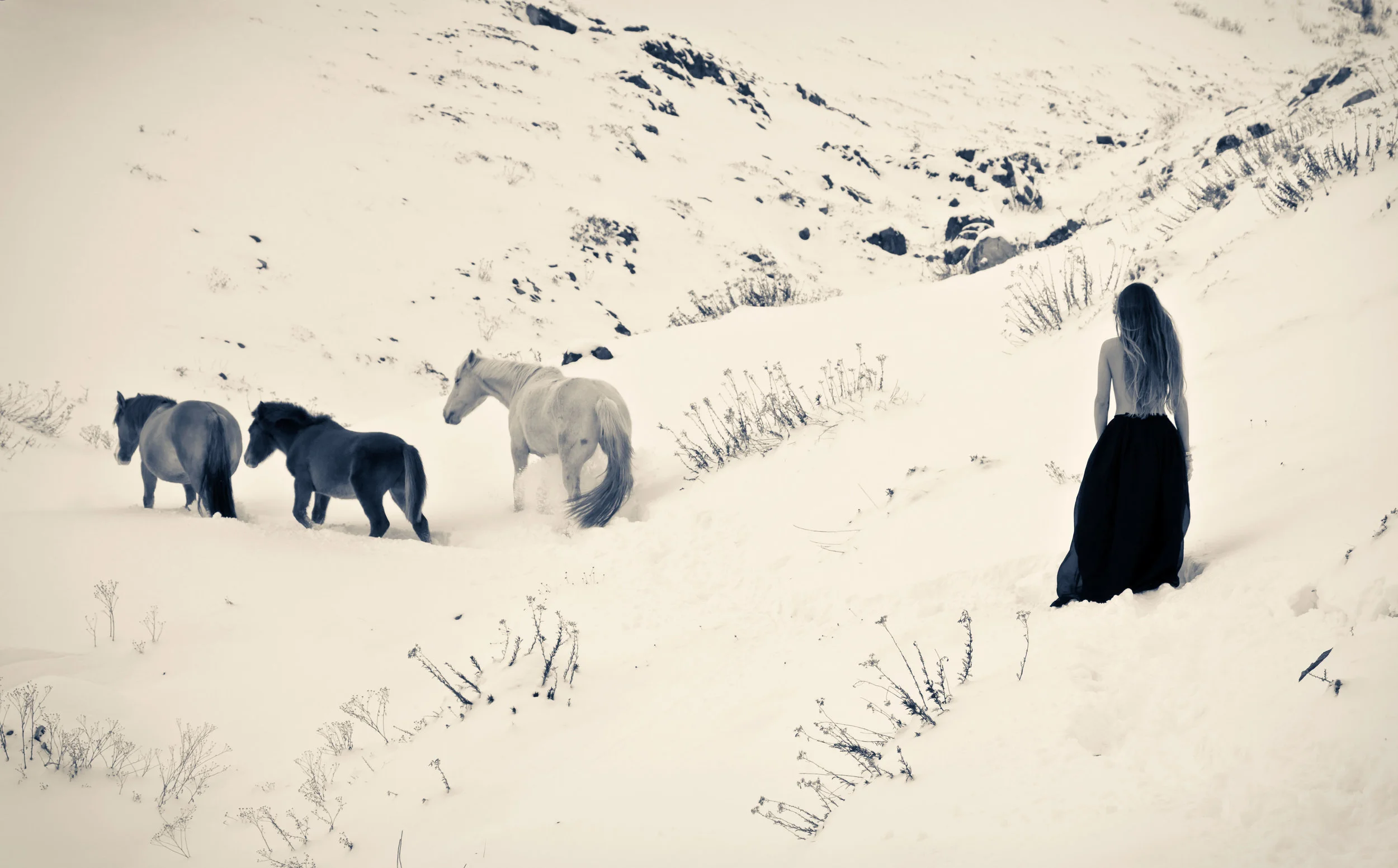 personal pagina--5.jpg