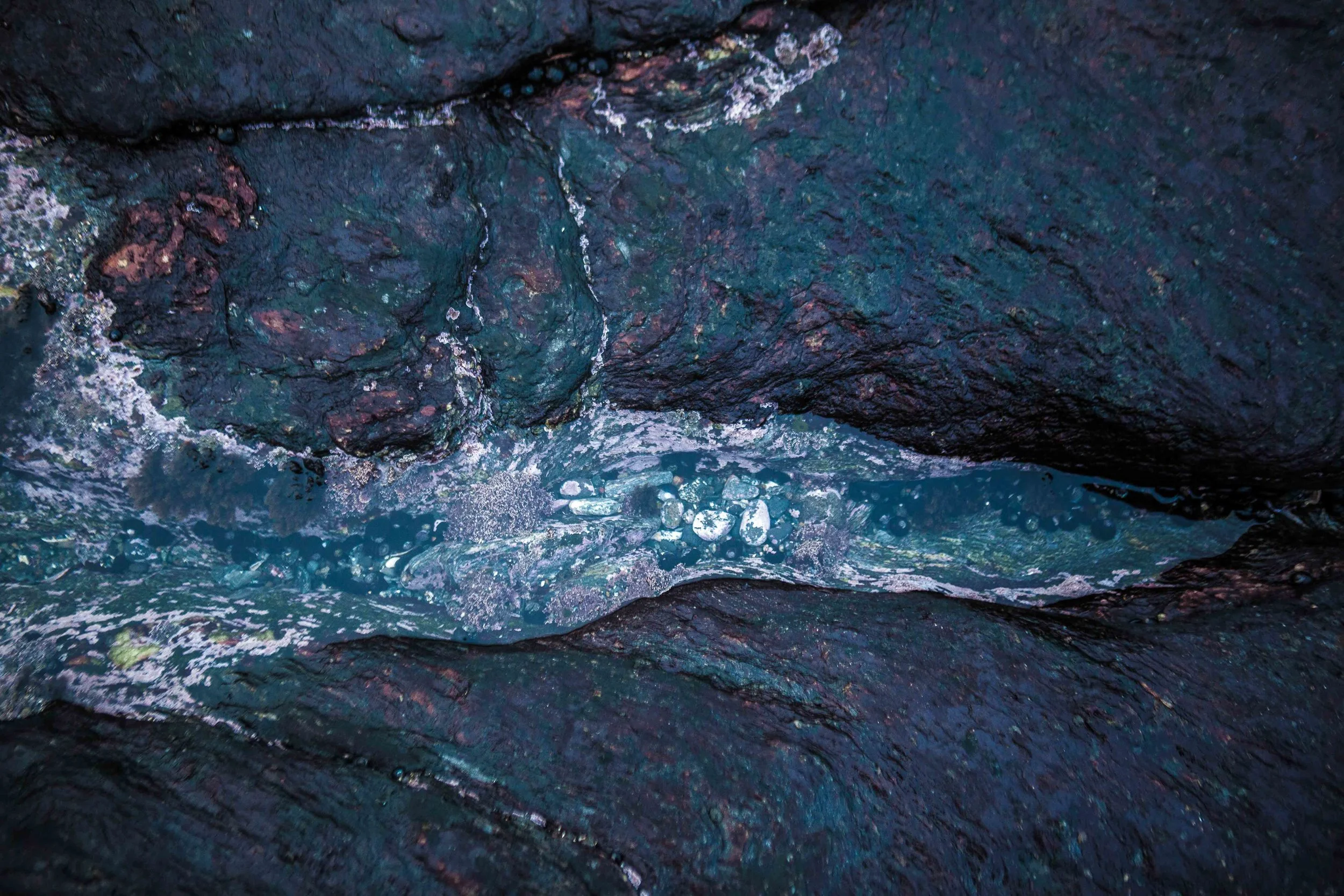 personal pagina-98.jpg