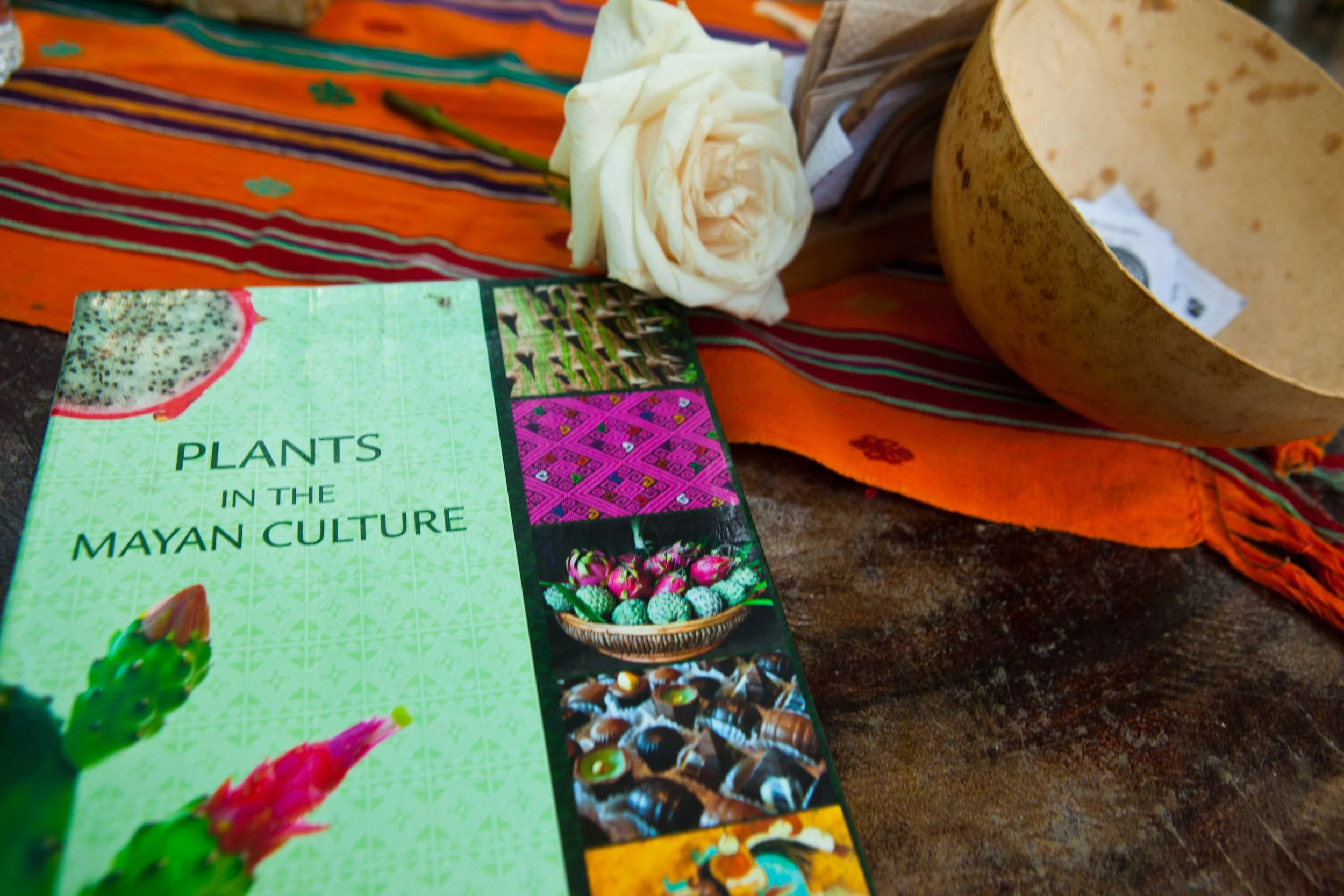 PAGINA FINAL MUNDO baja--3.jpg