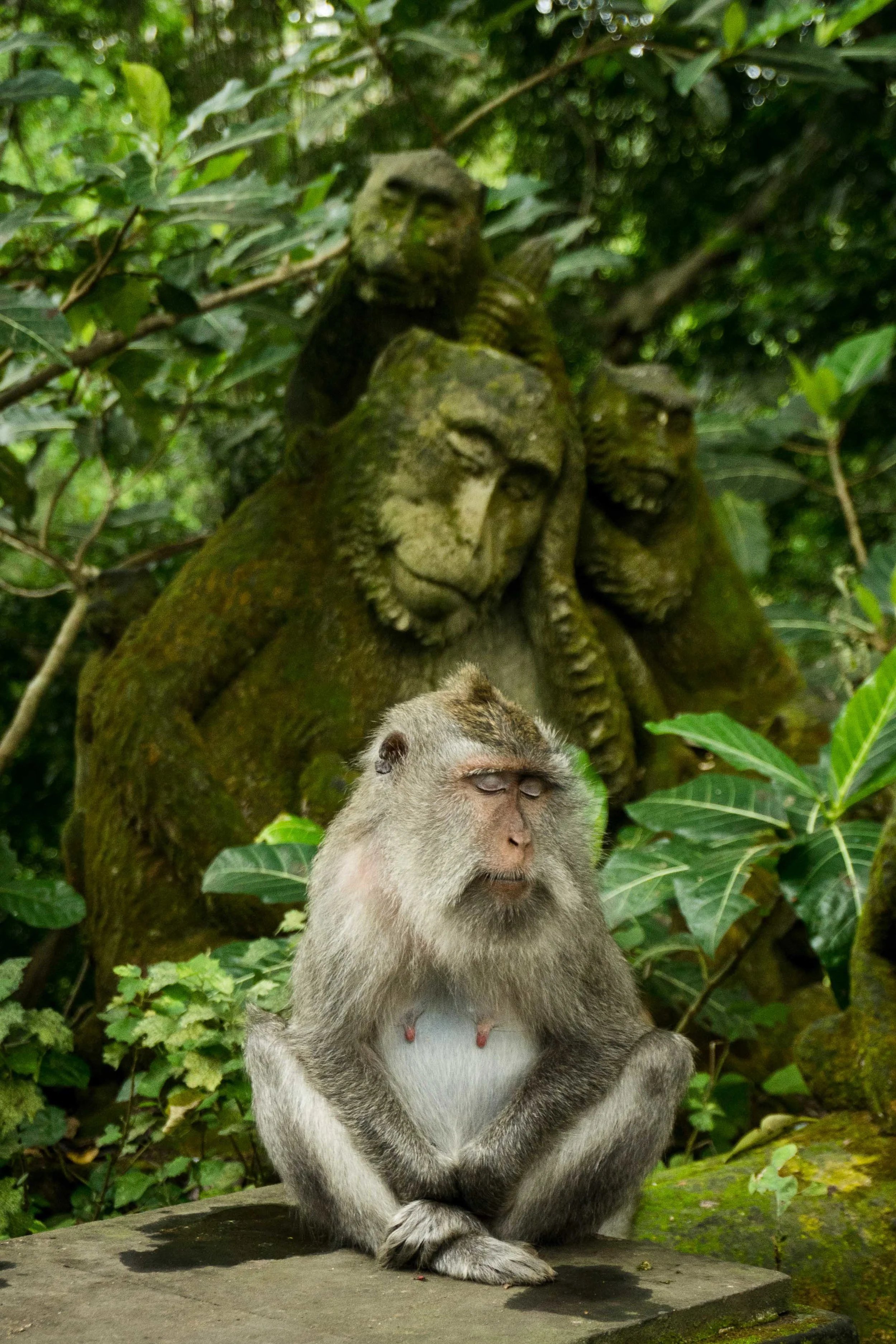 PAGINA FINAL MUNDO baja-163.jpg