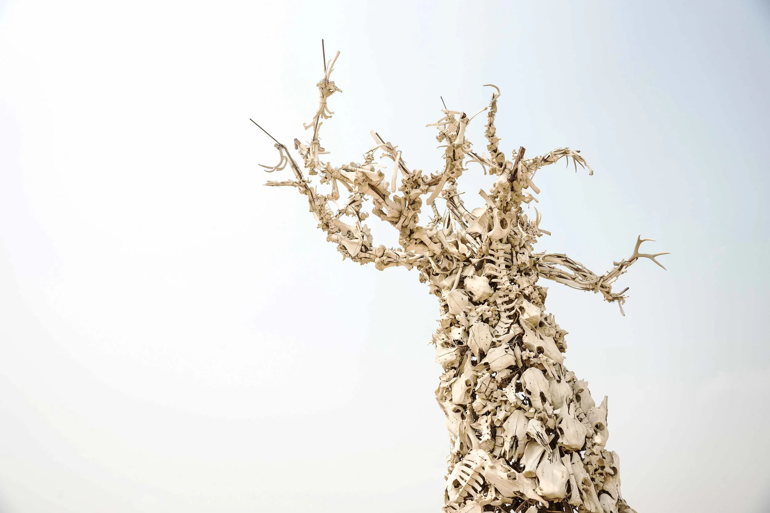 PAGINA FINAL MUNDO baja-447.jpg