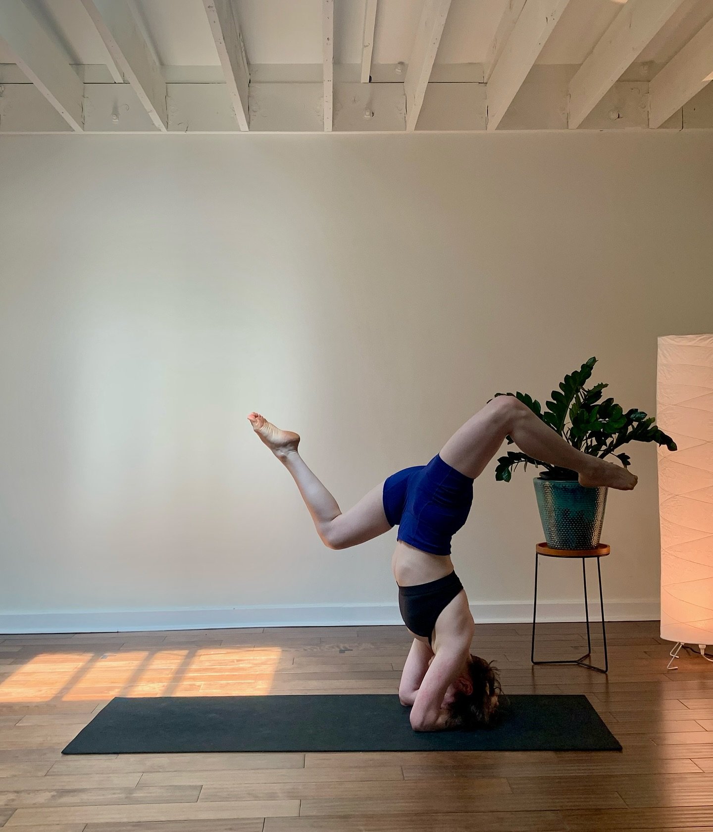 We&rsquo;re switching things up! Starting today, our Wednesday 5:45 pm Yoga Fundamentals class is now Vinyasa - Level 2!

Ready to challenge your flow and take your practice deeper? This class is designed for yogis looking to build strength, explore 