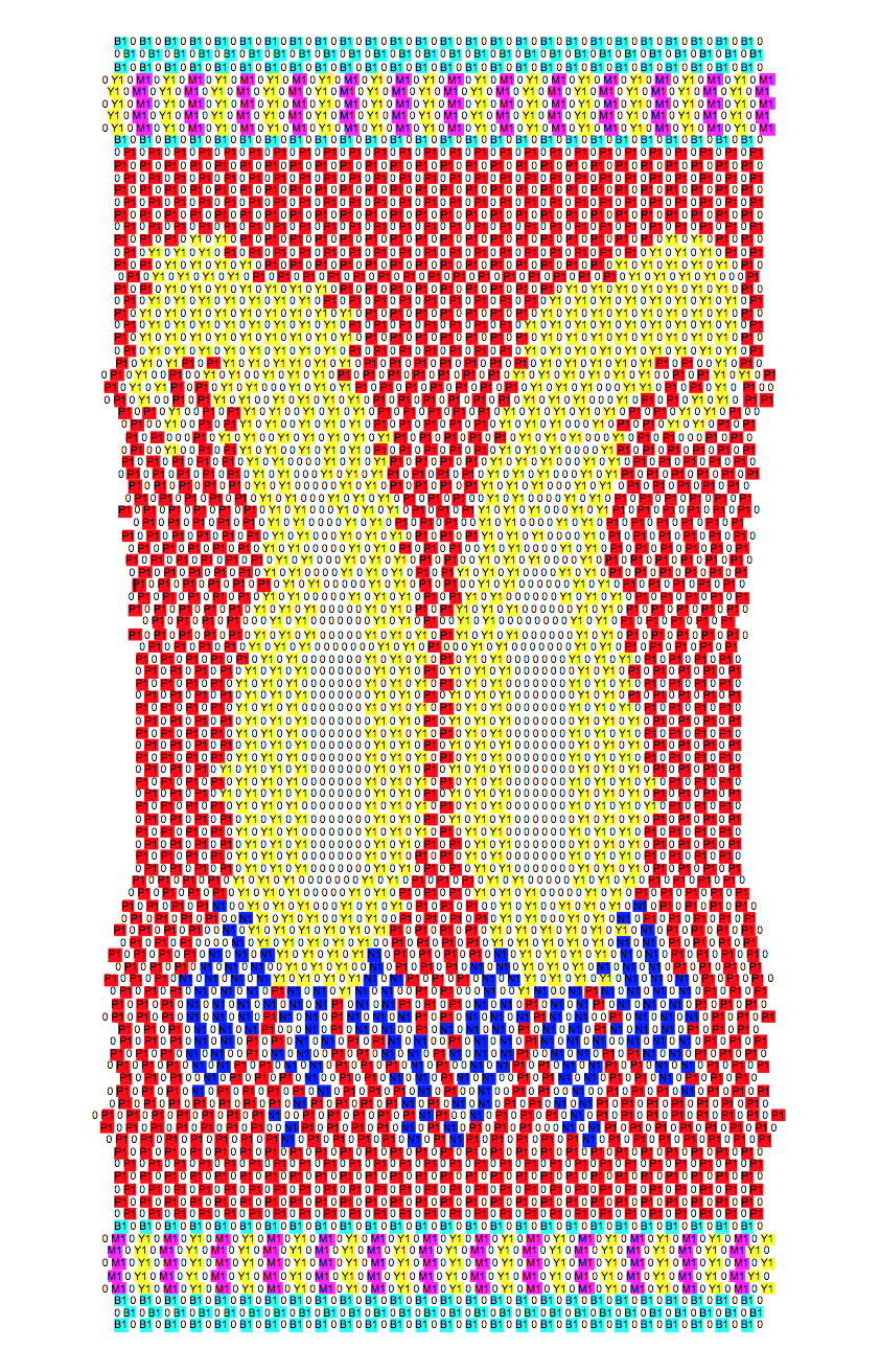 Khadija Aziz_2021_Buta Lives_Manually Coded and Coloured_Copyright.JPG