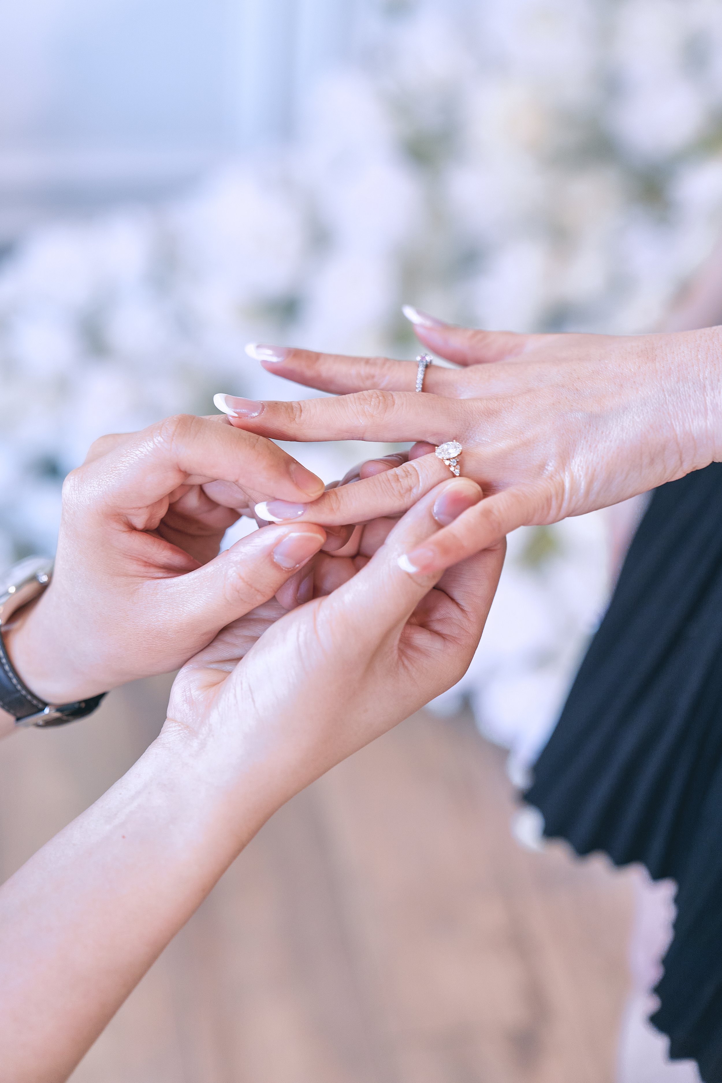 20250315_HaroldKatProposal-0264.jpg