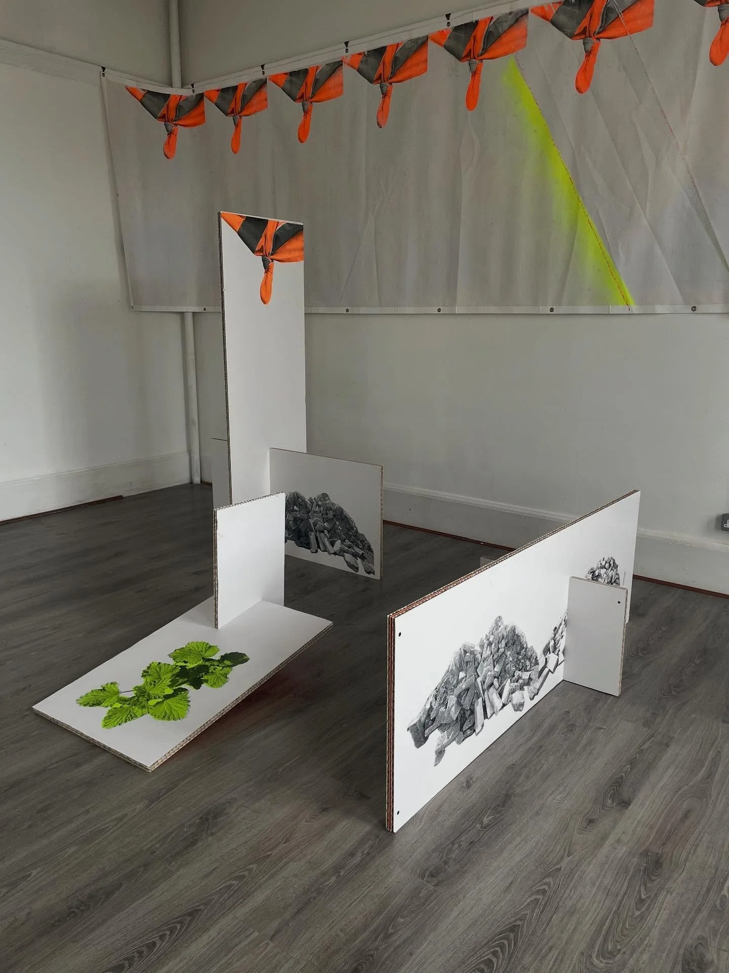 Shifting Sites | Disturbed Ground

Hi-vis work vest, Nettle and Rubble screen prints on reclaimed exhibition cardboard signs, and event banner 2025. For Green Phoenix

Photo 2 by Dom Moore

@exeterphoenixgallery