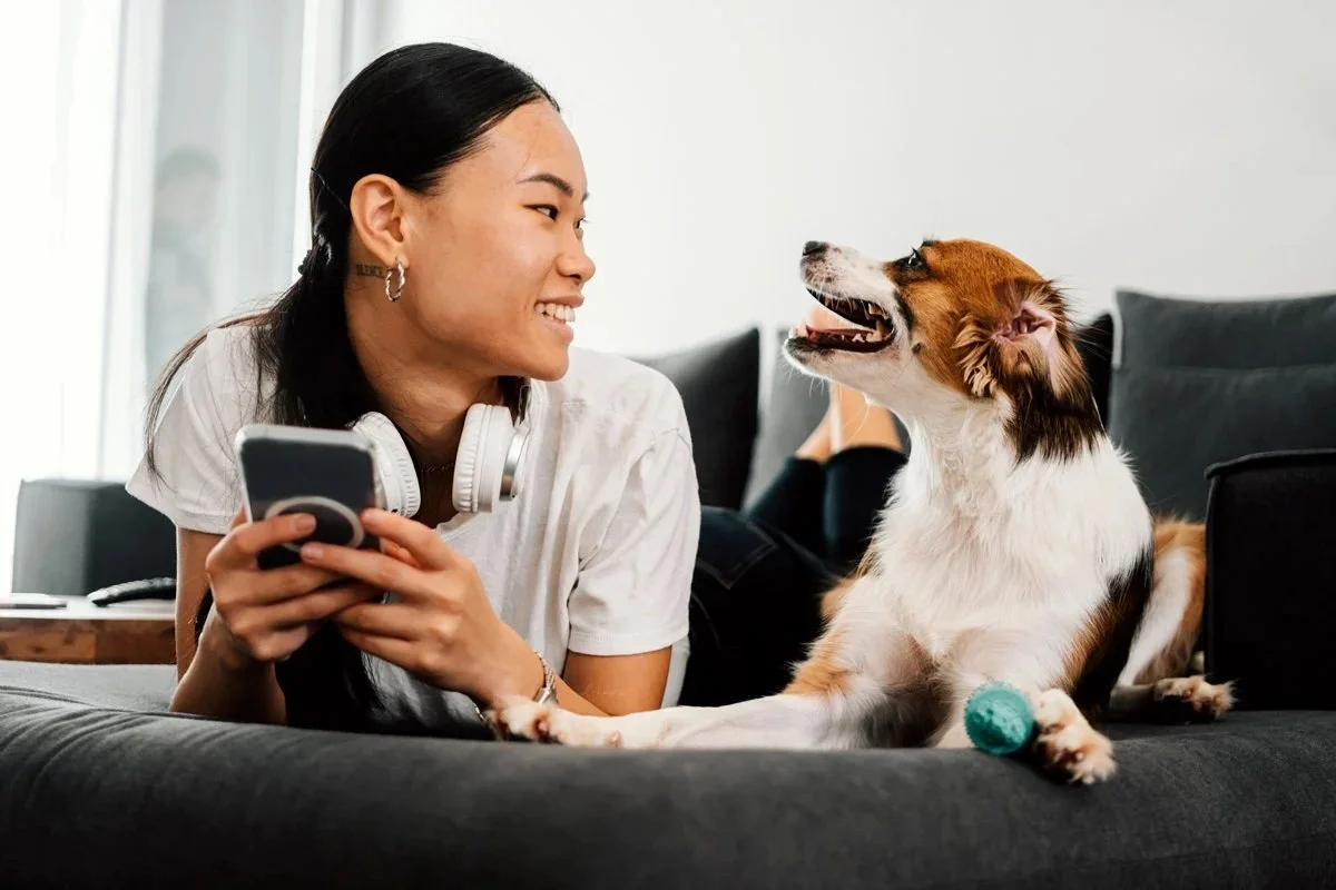 Best Budgeting Apps to Get Your Finances Together