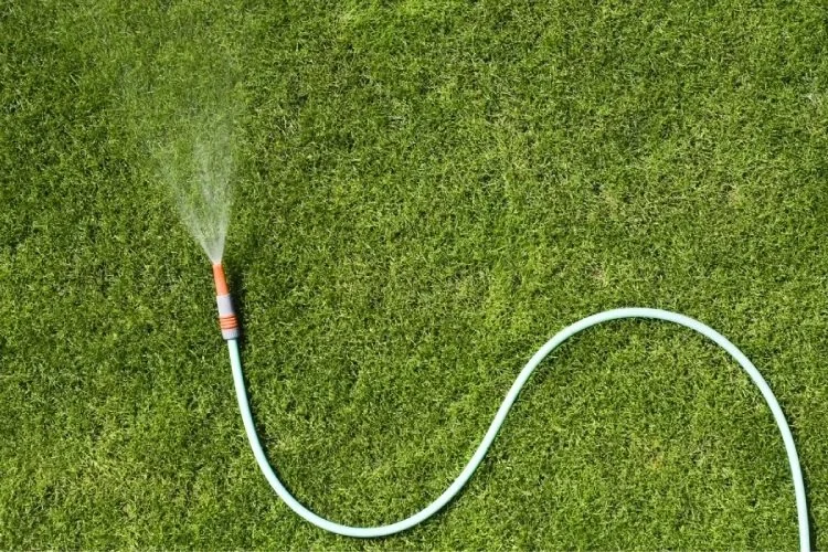 27 Water Usage Statistics and Facts To Know in 2024