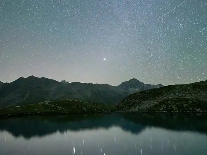 Content Type Popularity and Engagement Trends [New Data]