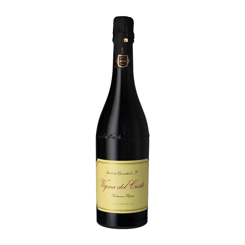 cavicchioli-vigna-del-cristo-lambrusco-di-sorbara-doc-2024-20250520100600_og.jpg