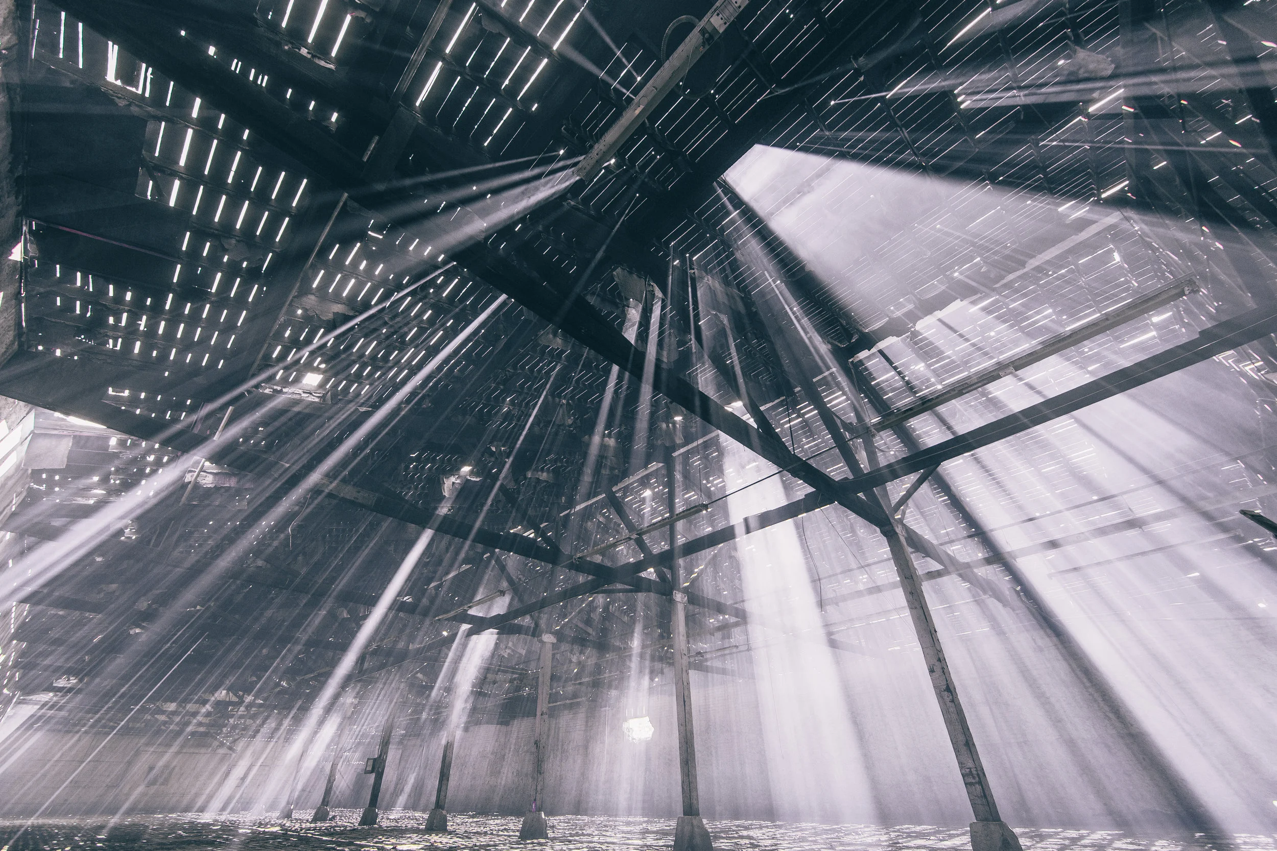 Places -Rays.jpg